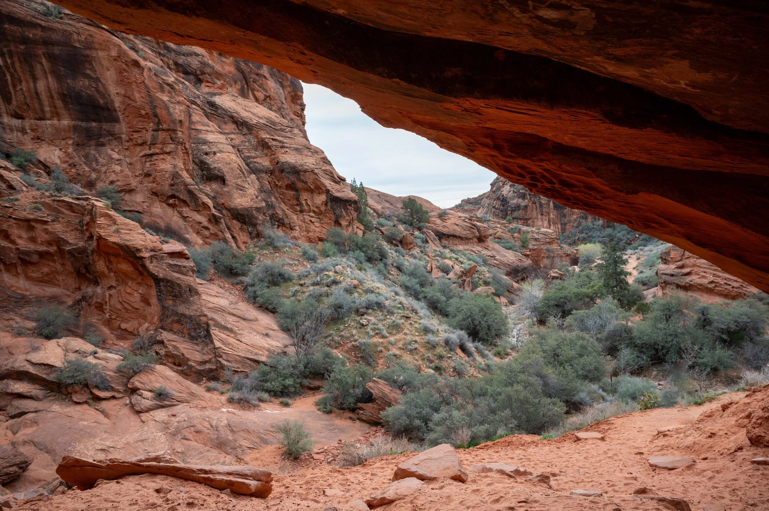 Red Reef Trail-2.jpg
