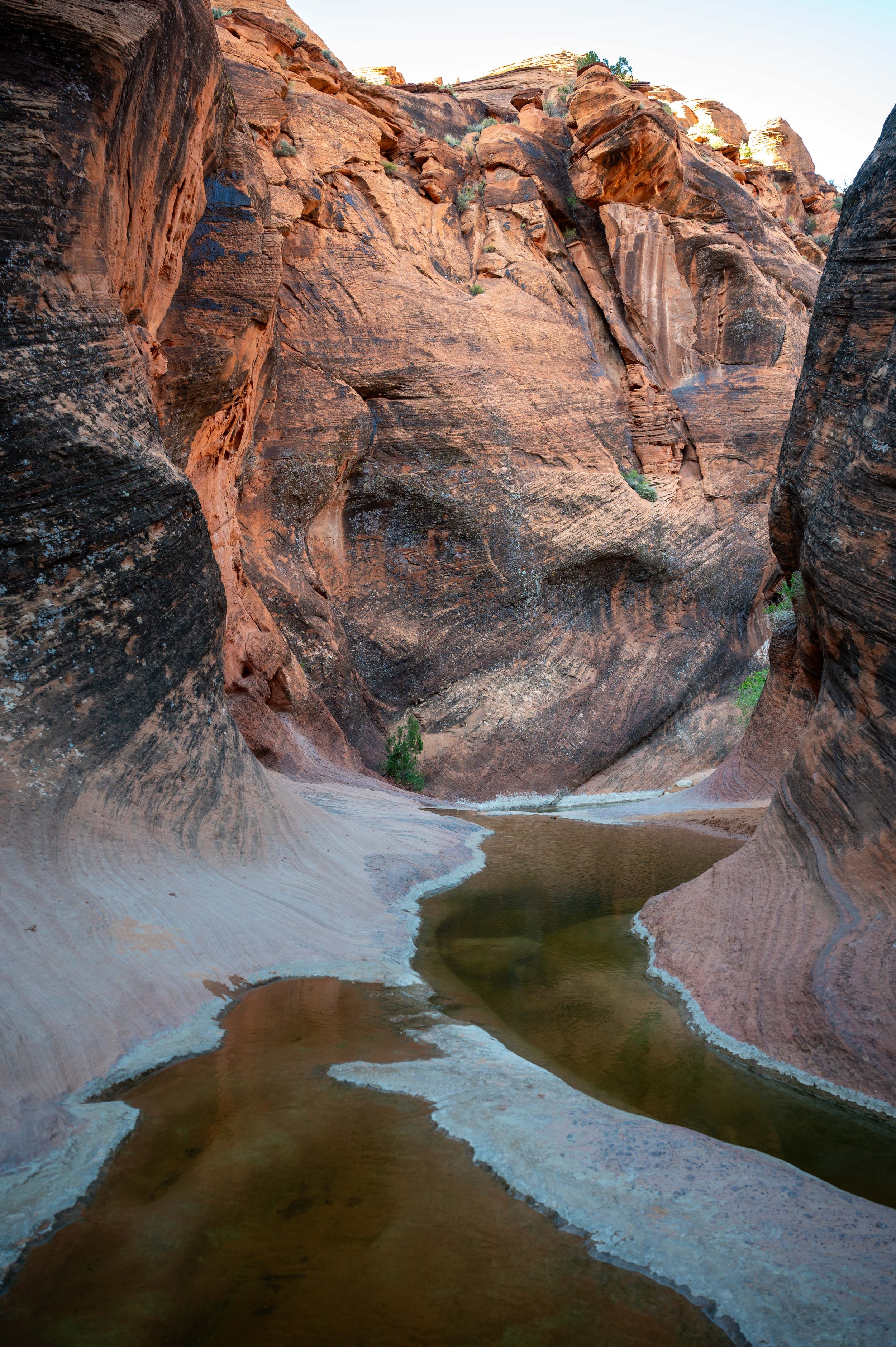 Walton Girls Trip-24.jpg