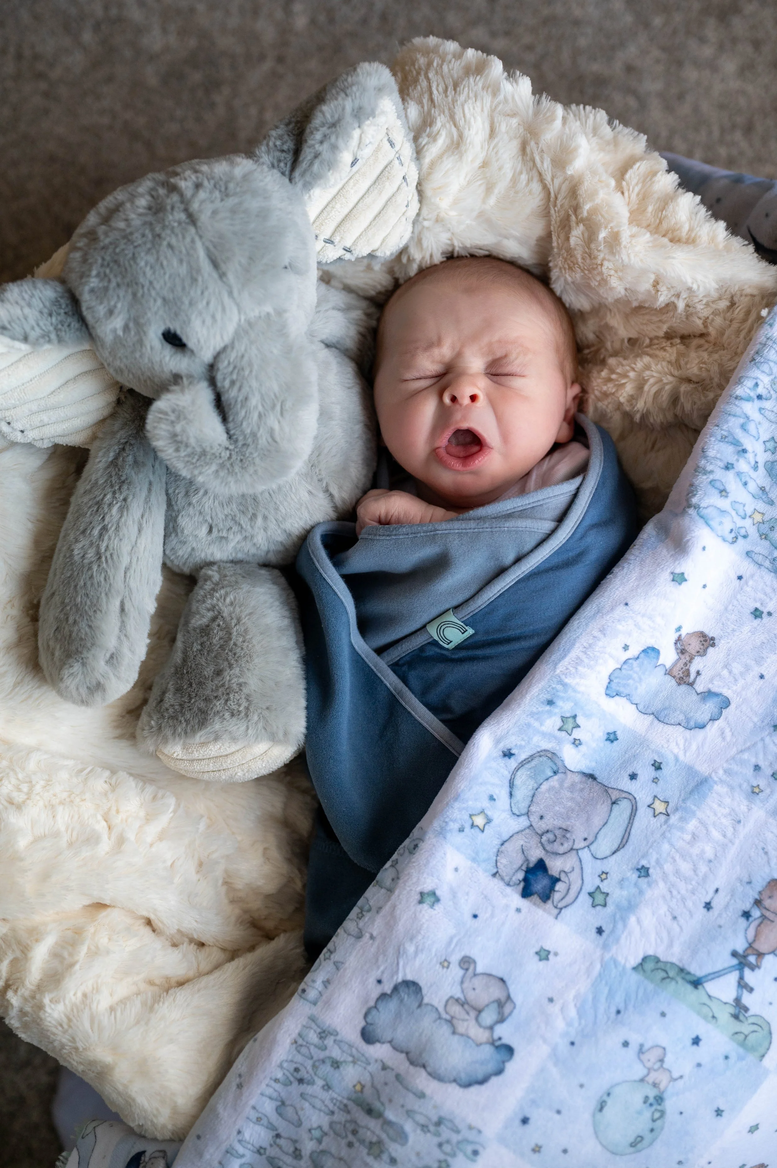 1 Baby Graham - one week old-27.jpg