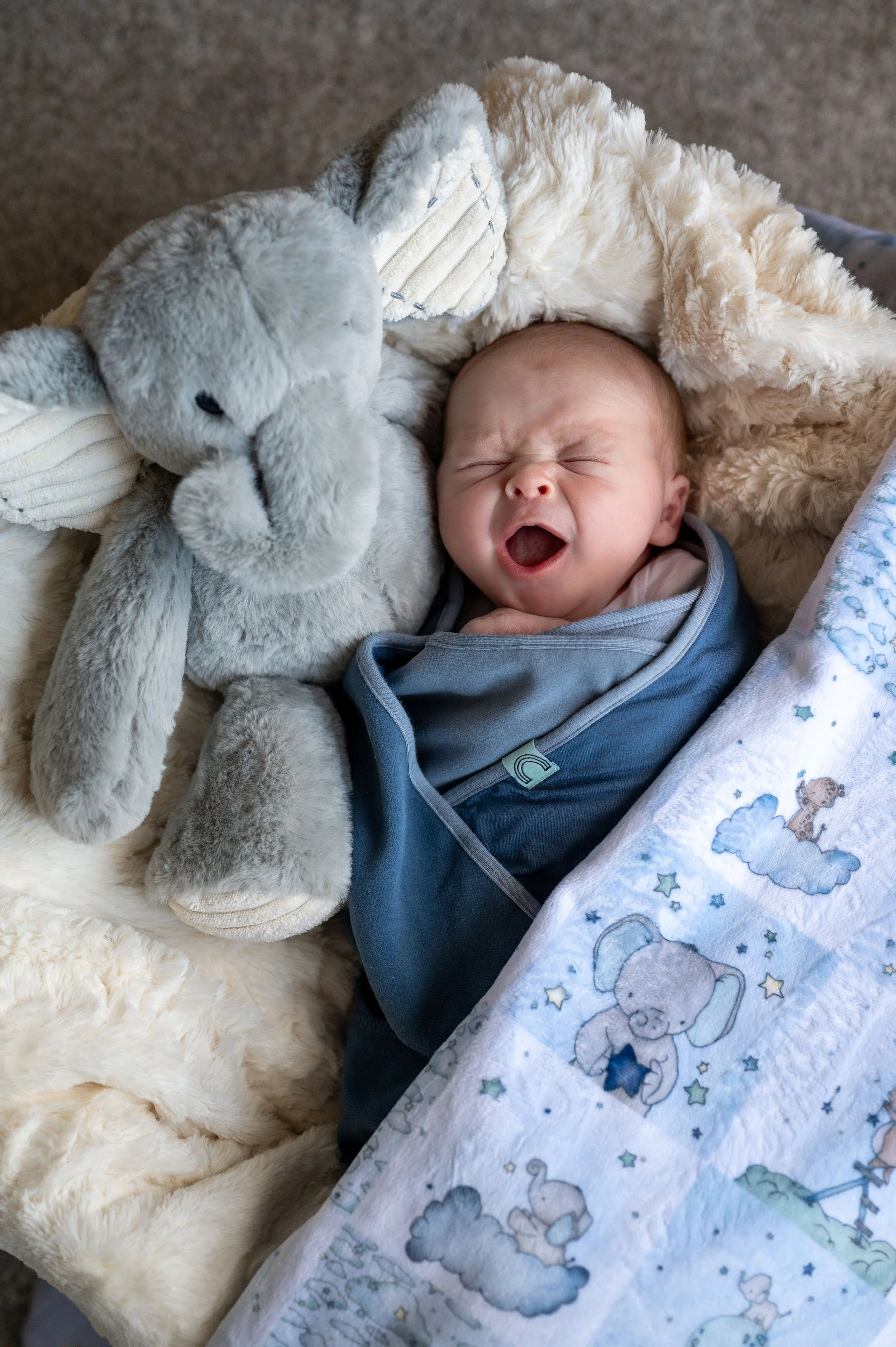 1 Baby Graham - one week old-28.jpg