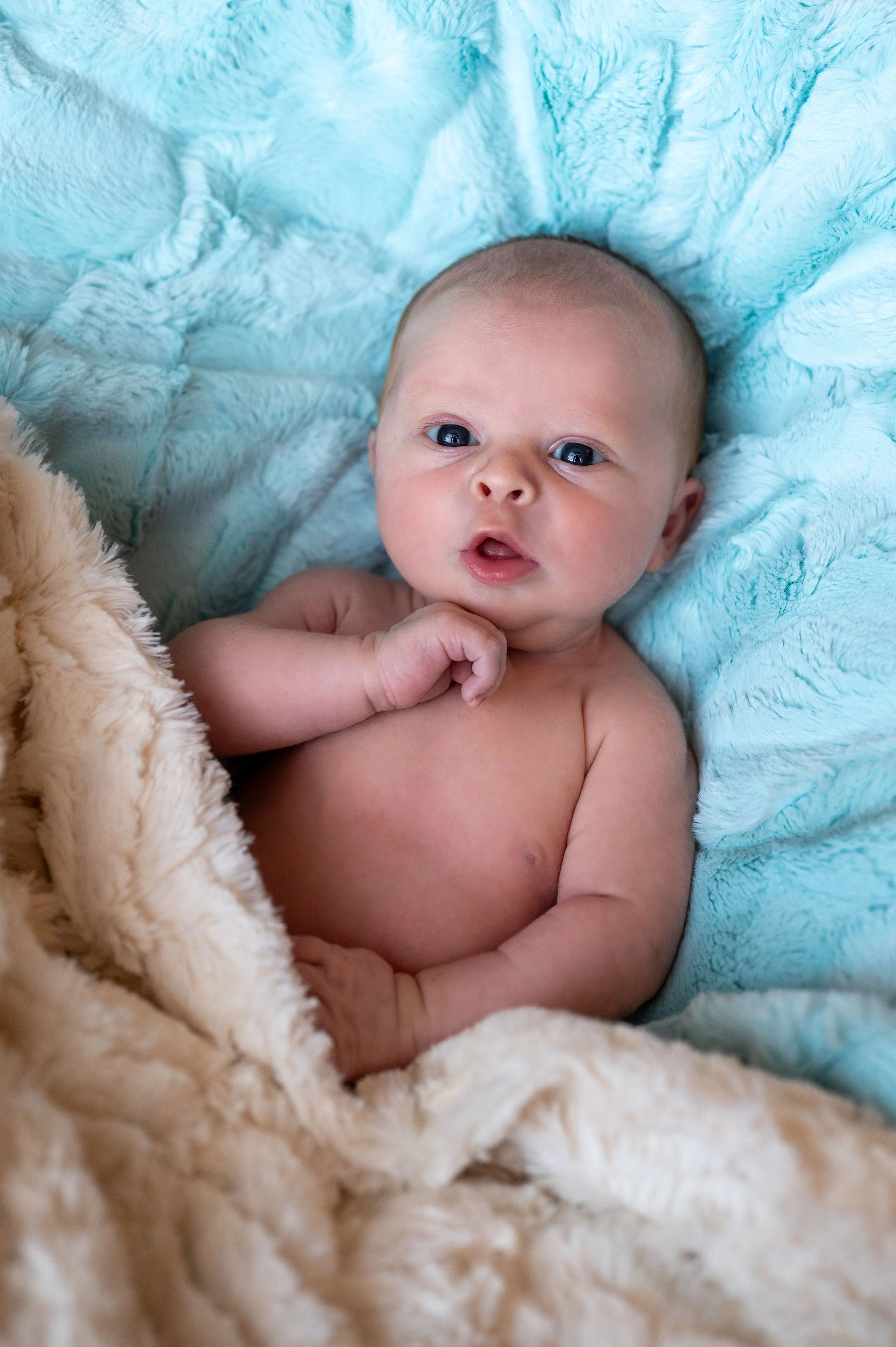 2 Baby Graham-4.jpg
