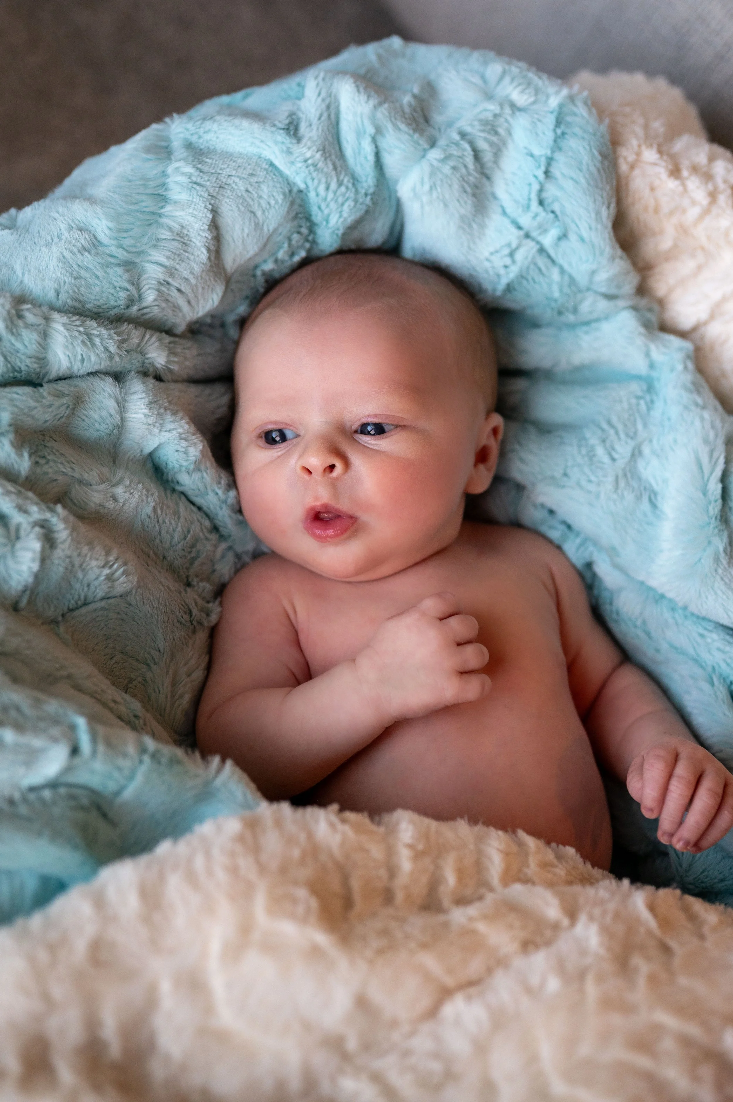 2 Baby Graham-1.jpg