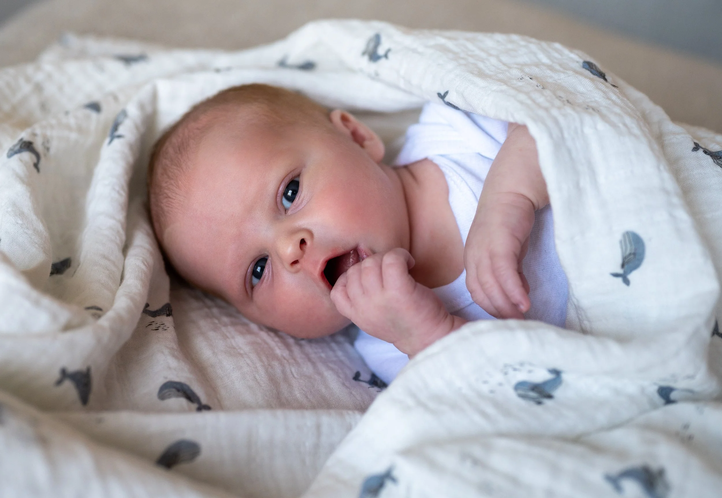 2 Baby Graham-21.jpg