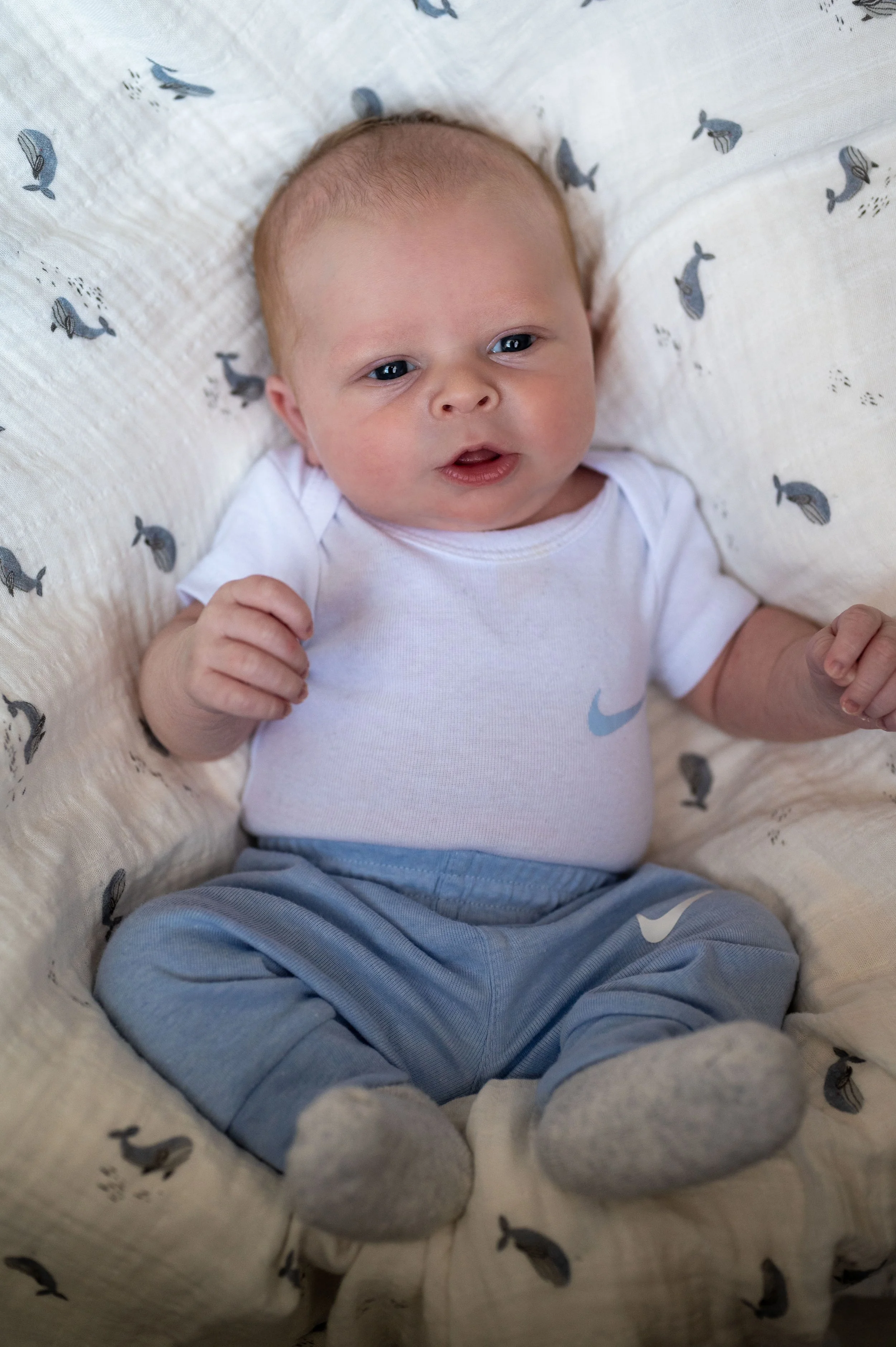 2 Baby Graham-22.jpg