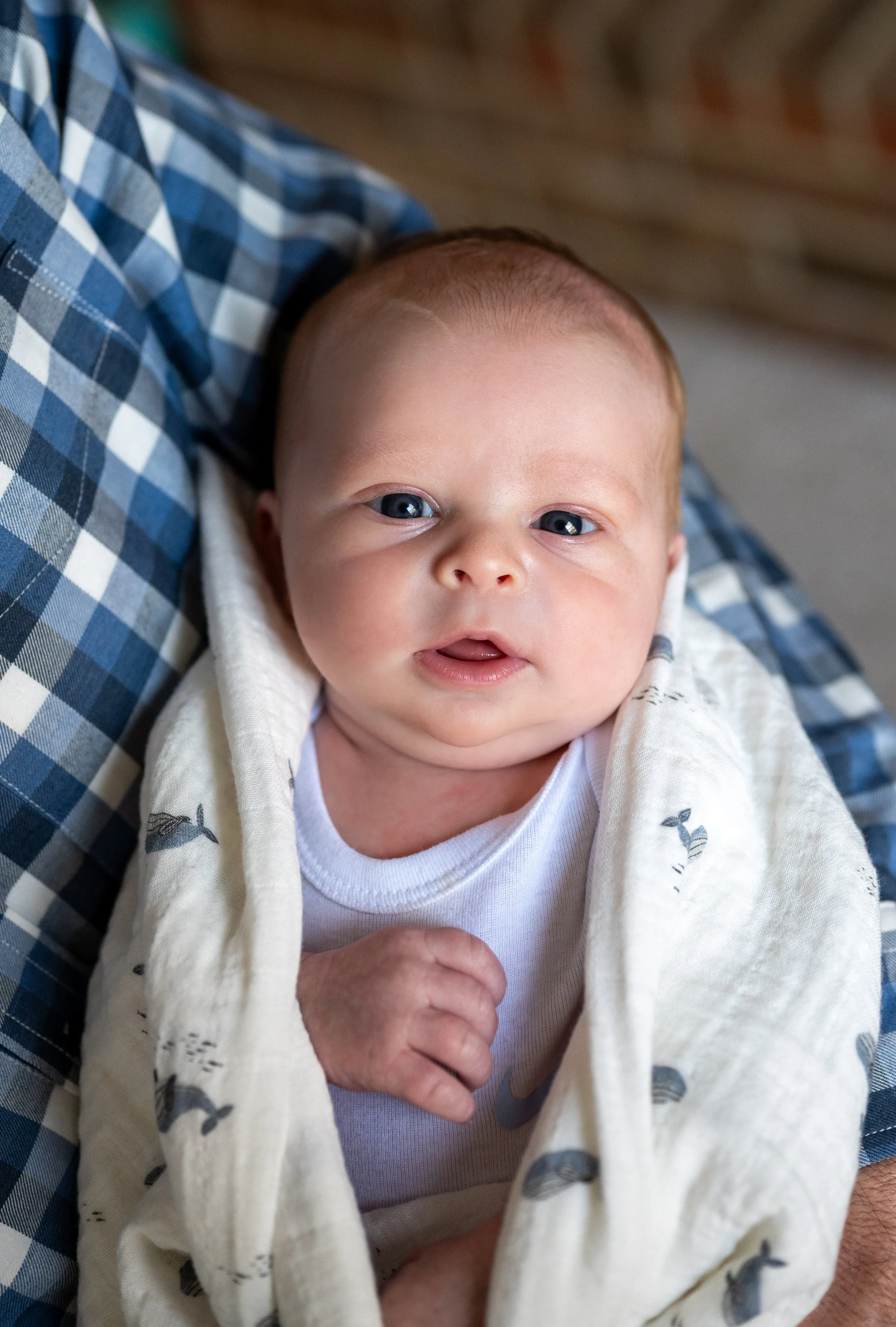 2 Baby Graham-18.jpg