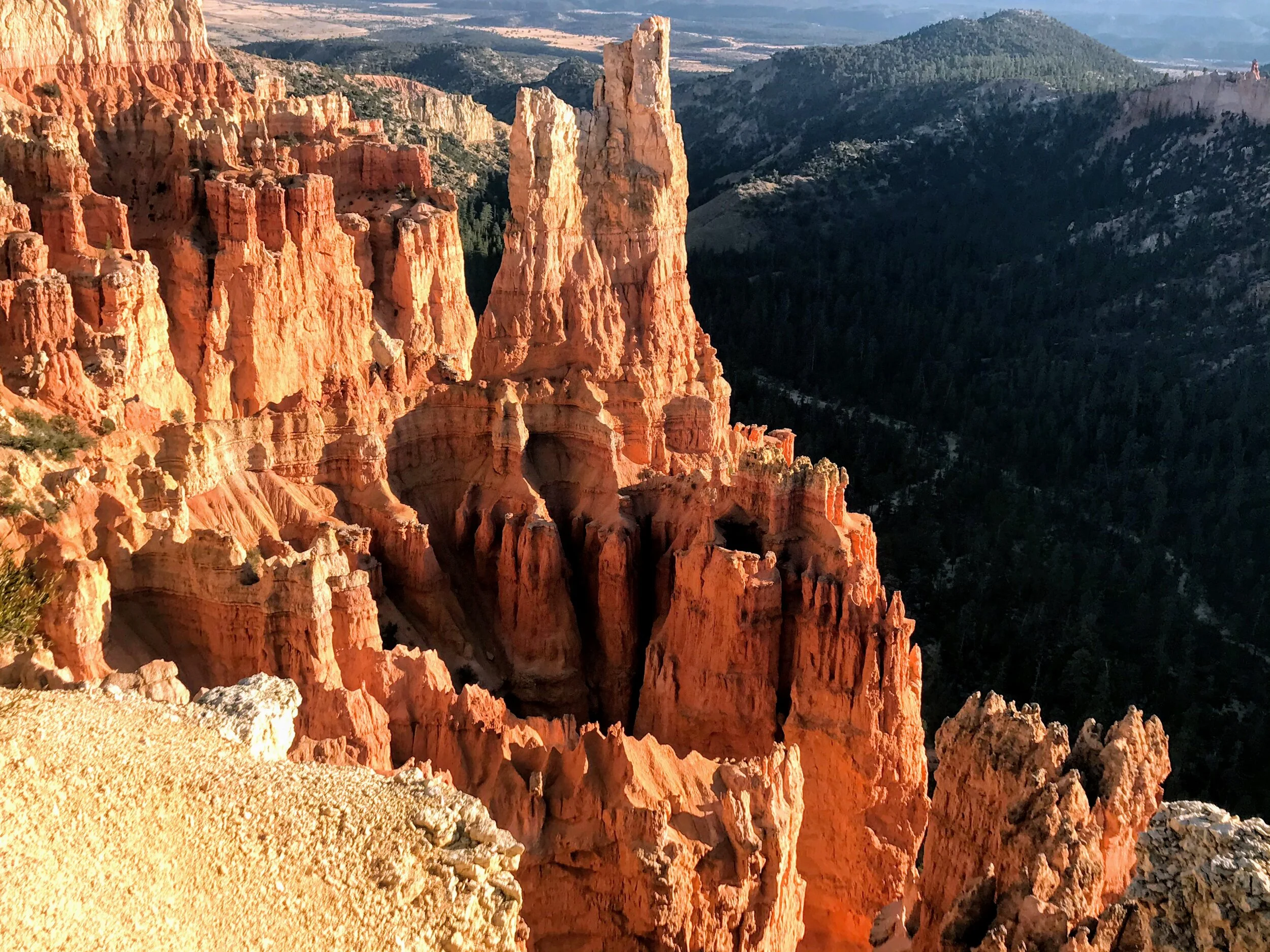 Bryce Canyon: Queen's Garden/Navajo Loop Trail