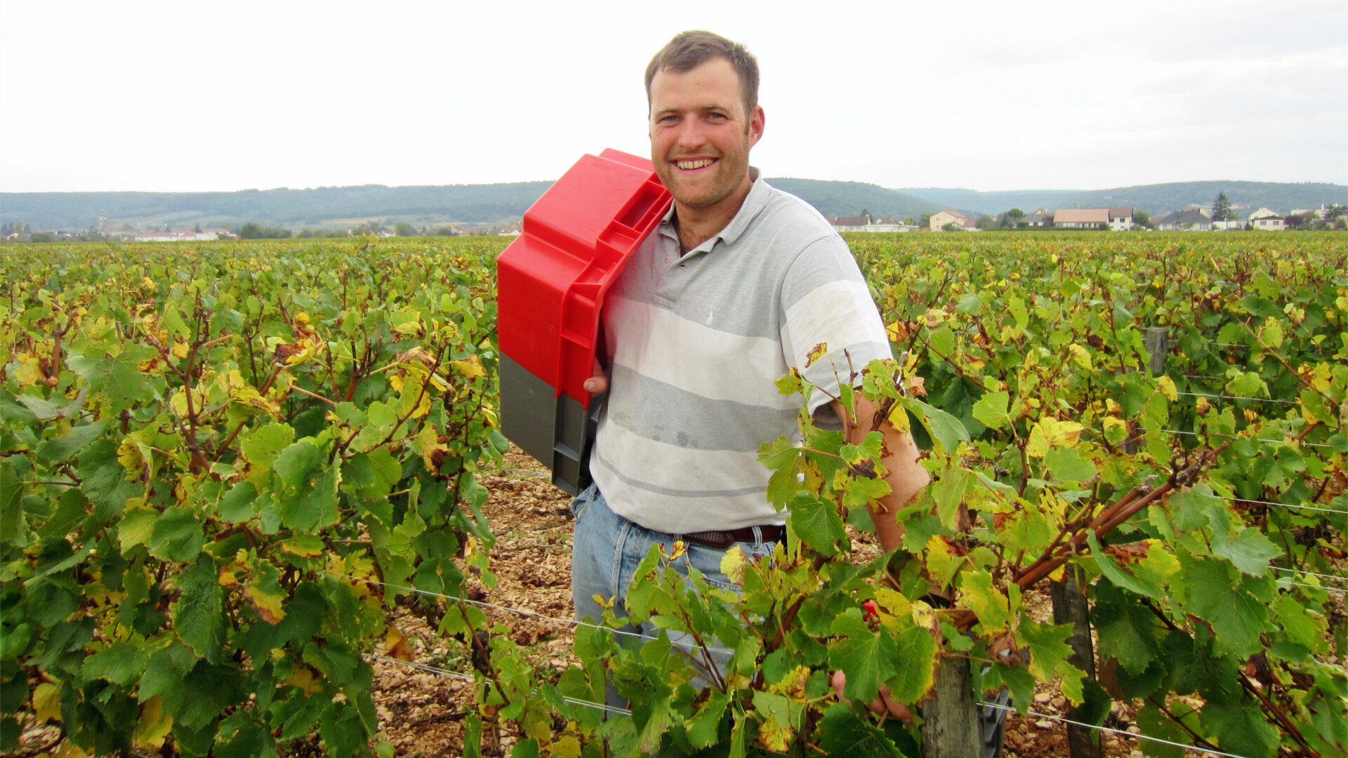 France — Nobilis Wine Importers