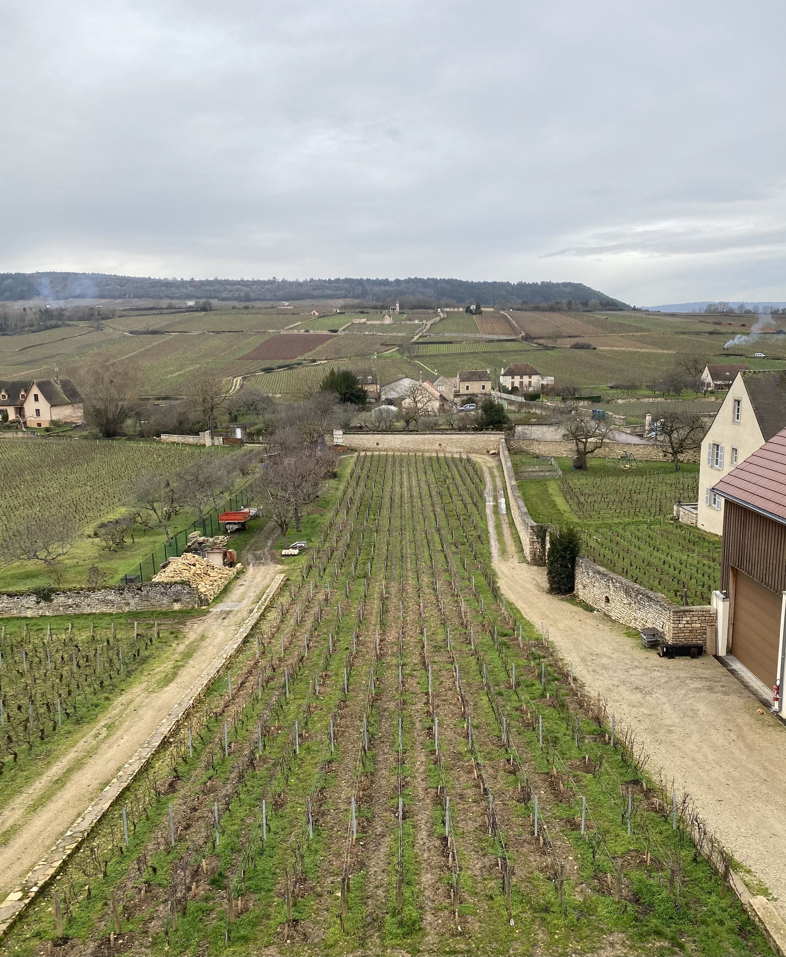 France — Nobilis Wine Importers