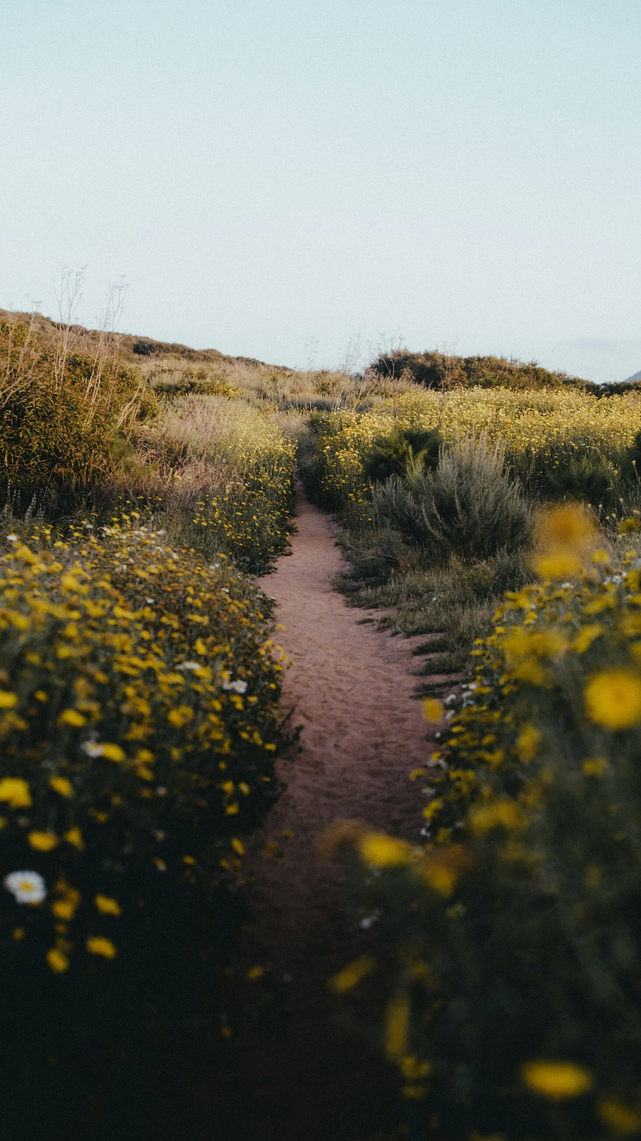 Fasting on the National Day of Prayer