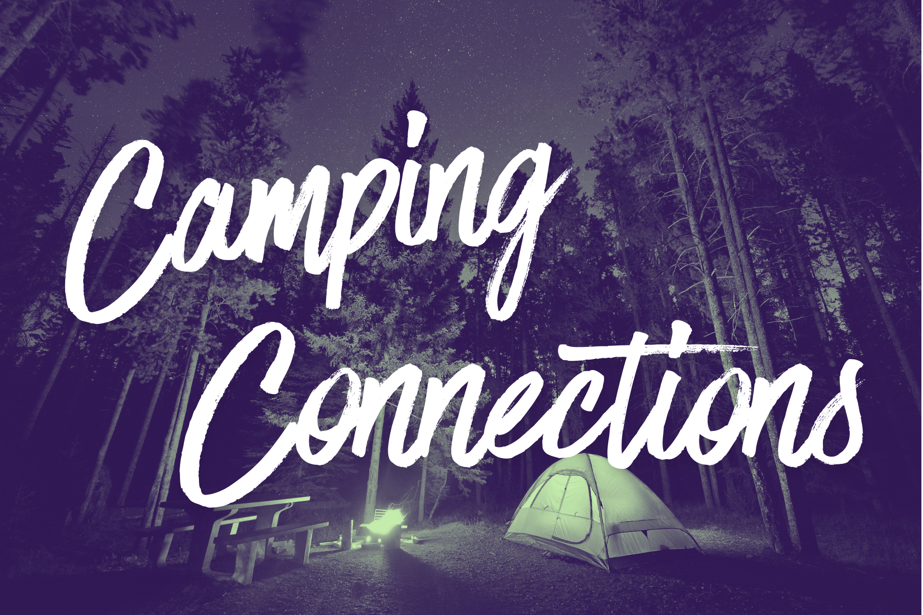 Camping Connections @ Henry Cowell / Beach Train