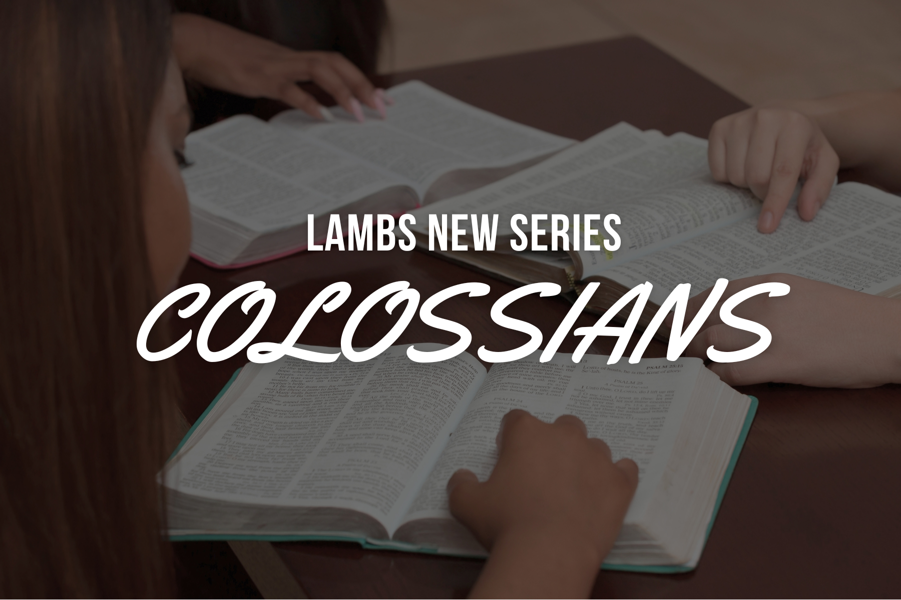 LADIES AM BIBLE STUDY -LAMBS