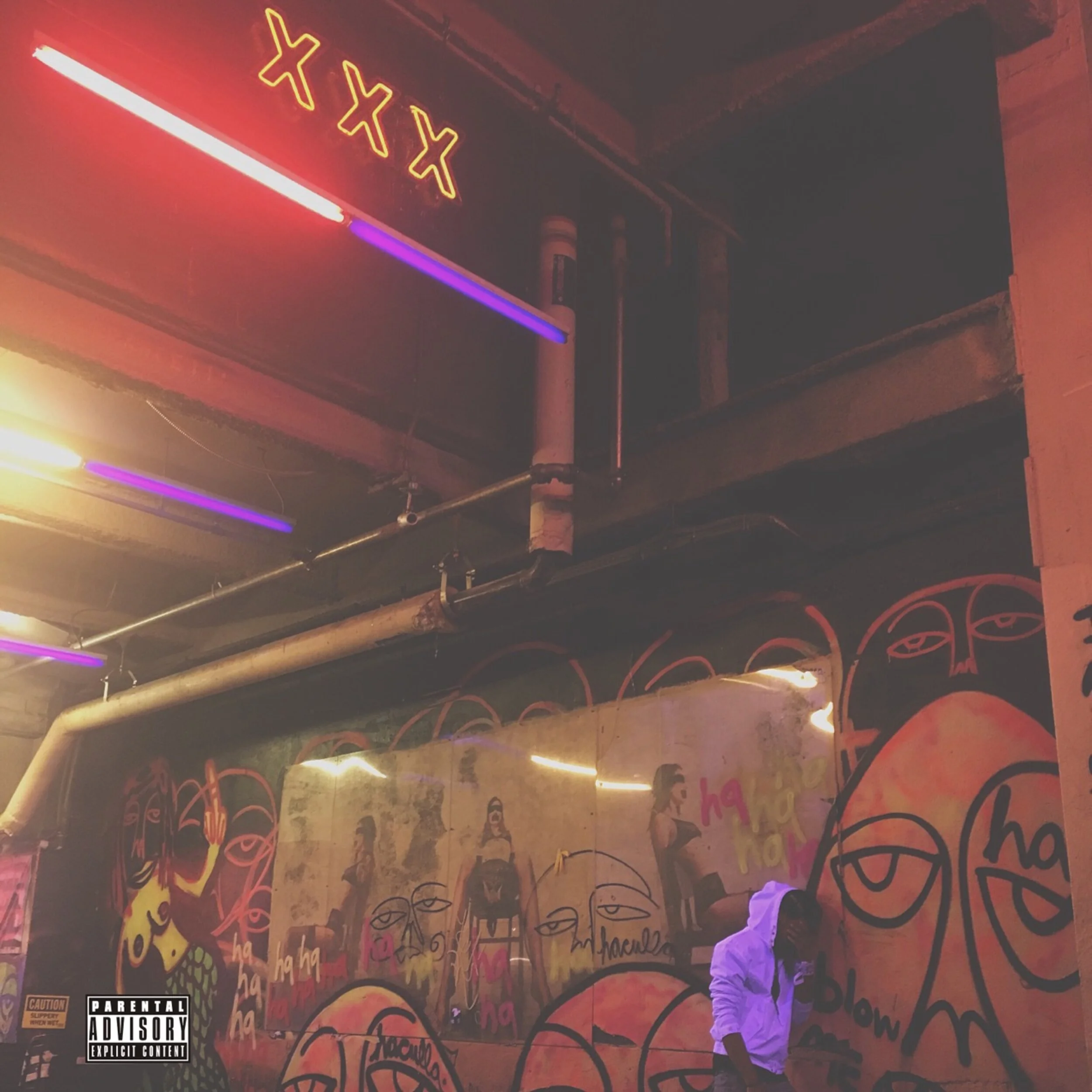 WNF cover (front).jpg