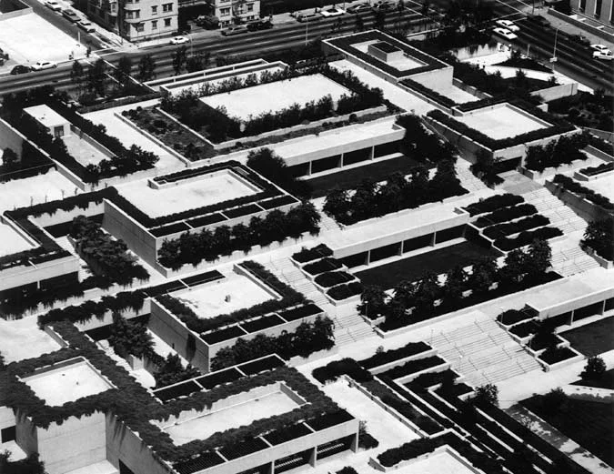 Midcentury Oakland garden image