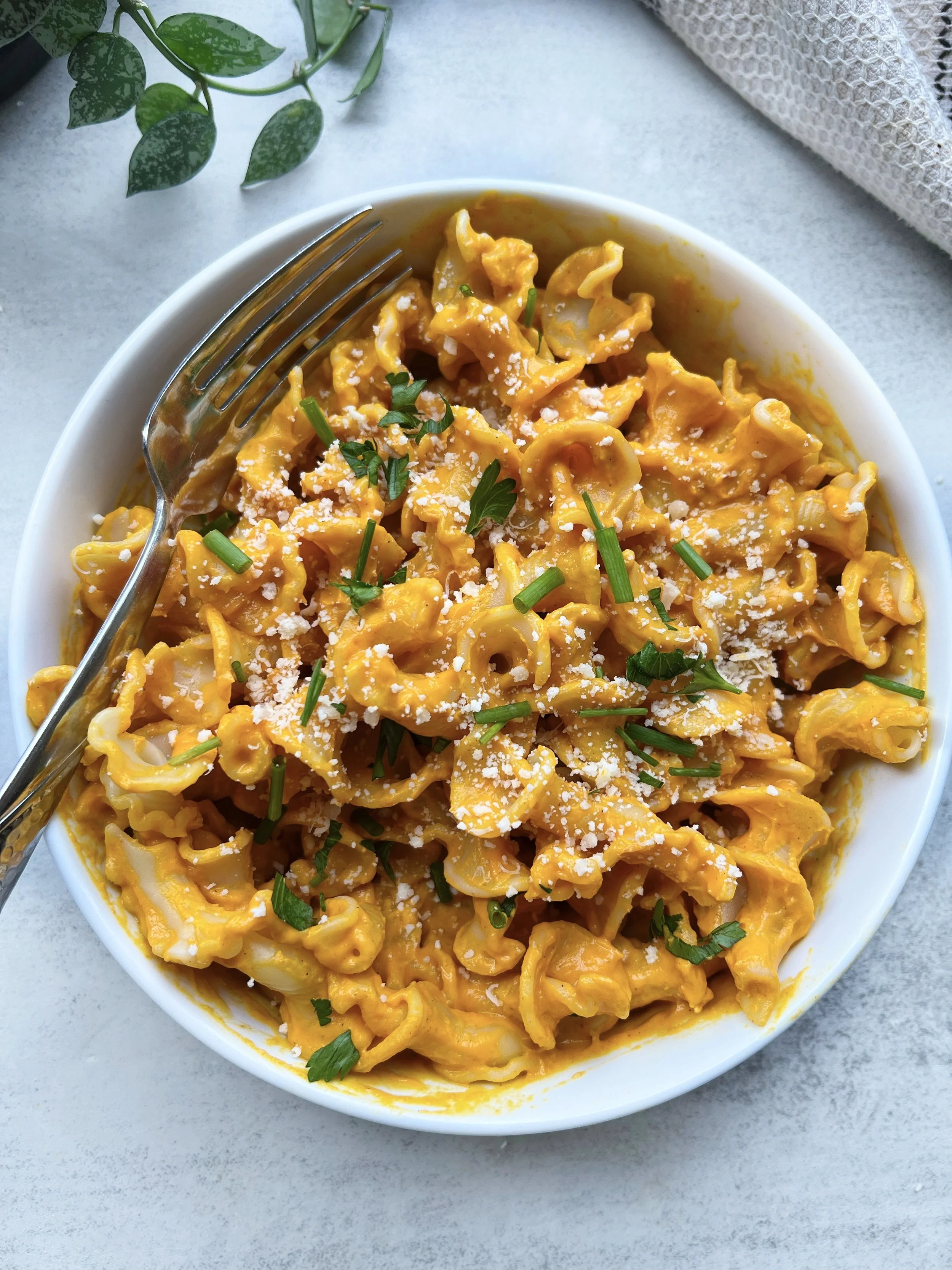 creamy-pumpkin-pasta-sauce-sammi-brondo-nyc-based-registered
