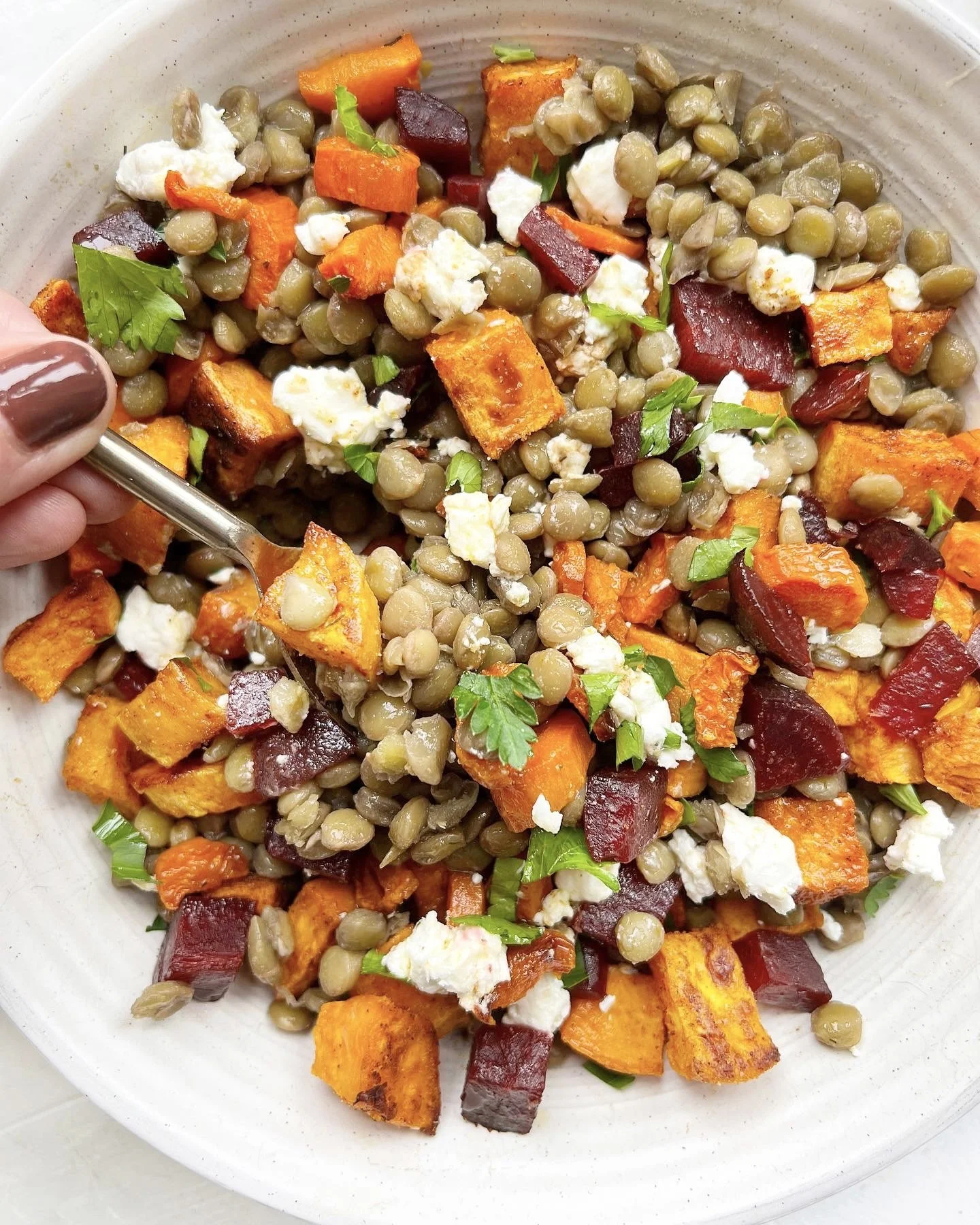 Roasted Vegetable and Lentil Salad — Sammi Brondo NYC based