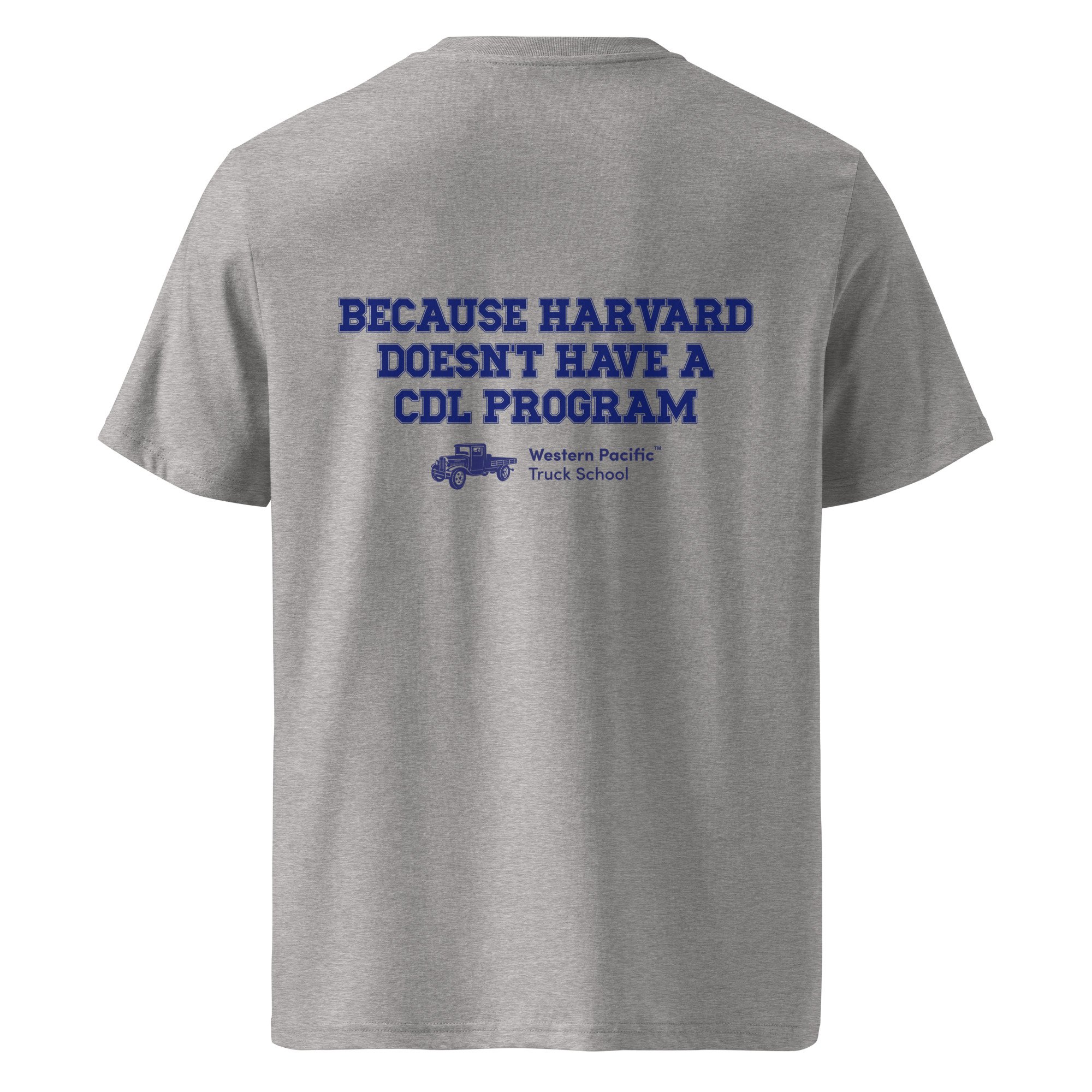 unisex-organic-cotton-creator-2.0-t-shirt-heather-grey-back-6aadb8192bcb8.jpg