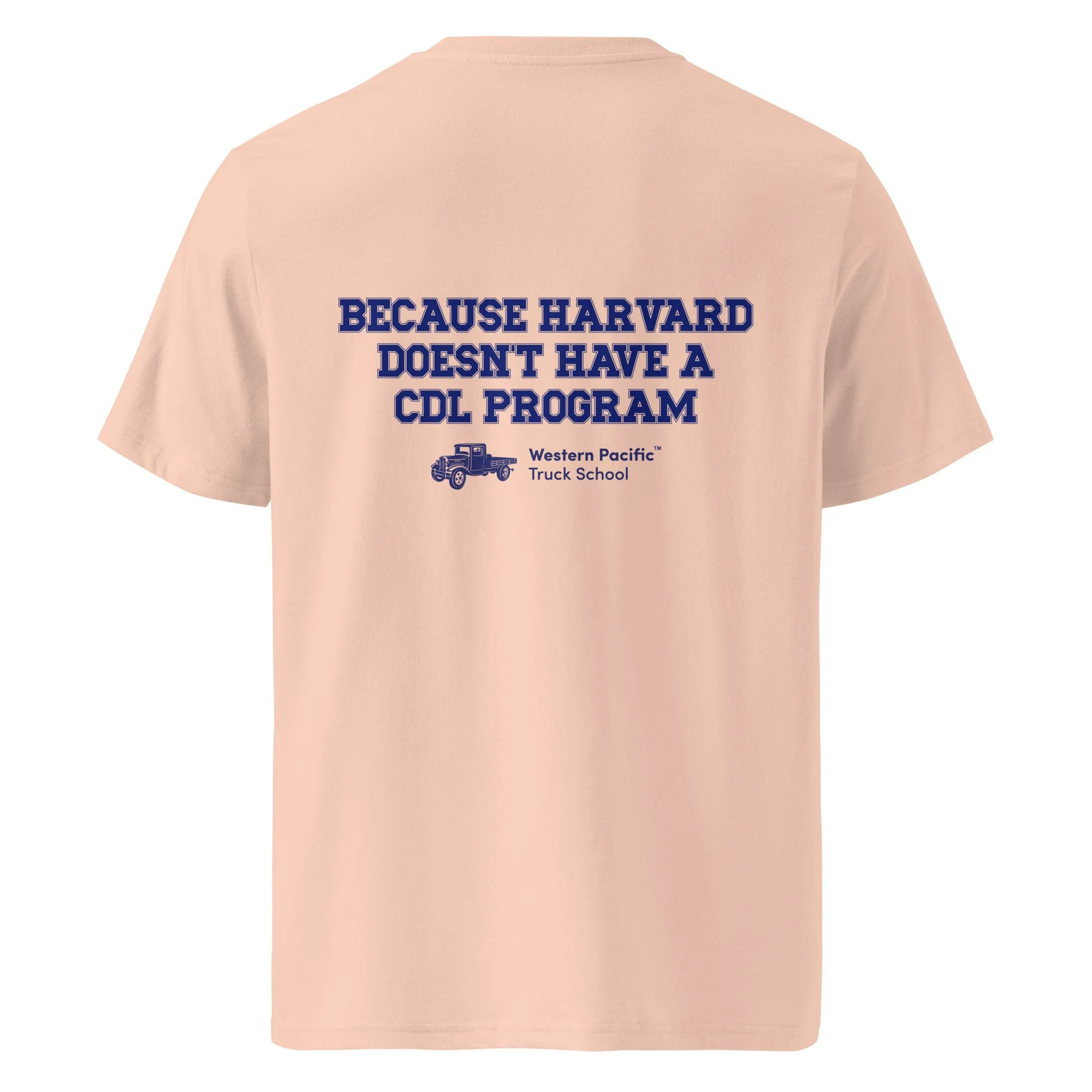 unisex-organic-cotton-creator-2.0-t-shirt-fraiche-peche-back-6aadb8192bc8a.jpg