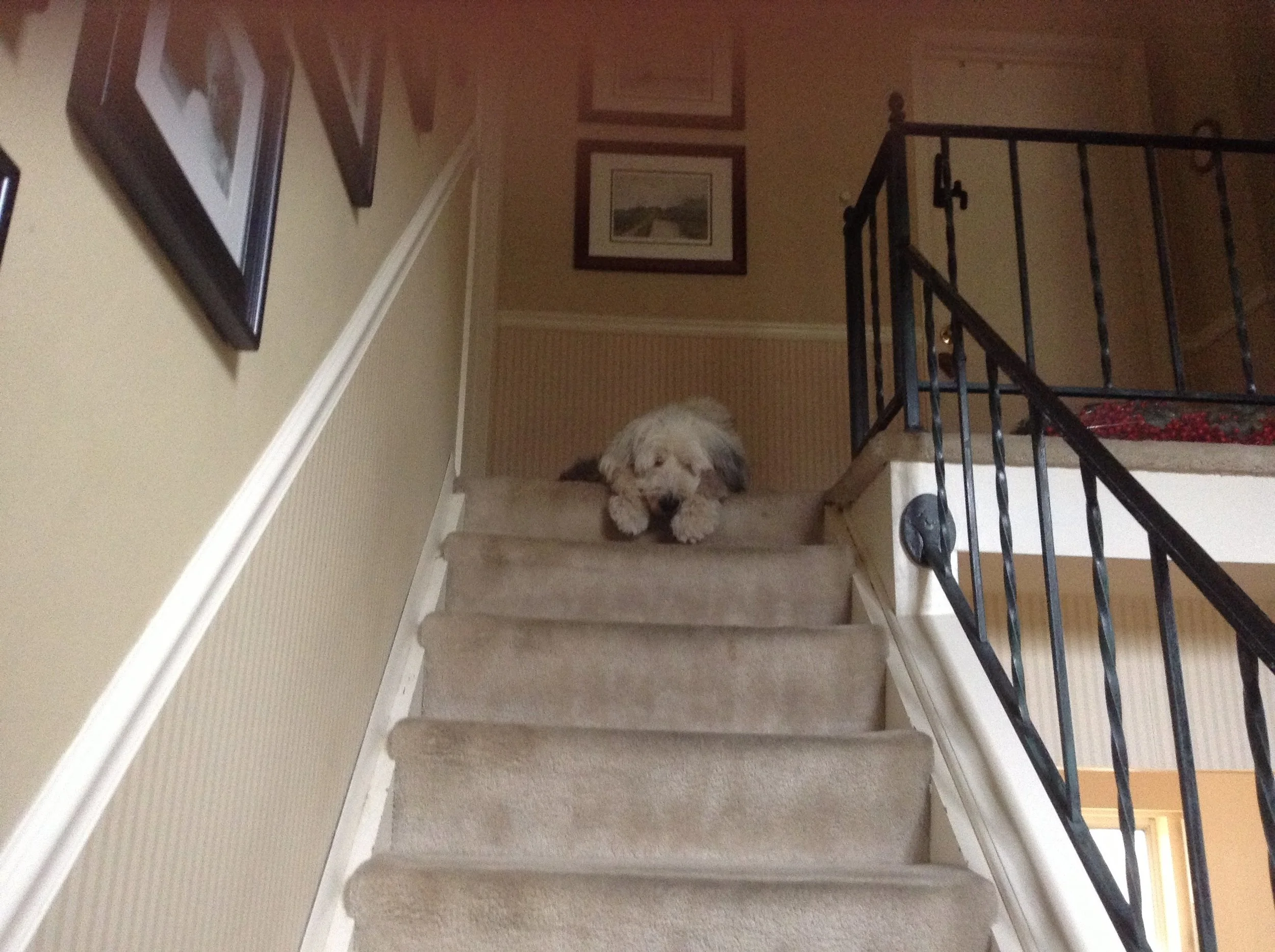 steps 1.jpg