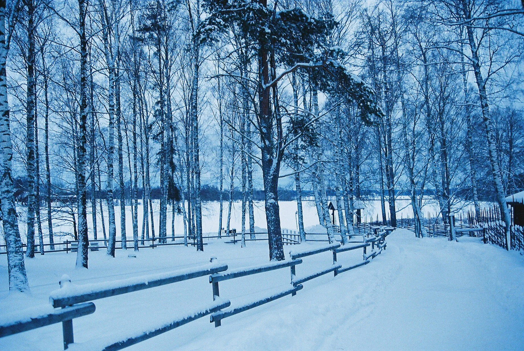 CNV00005.JPG