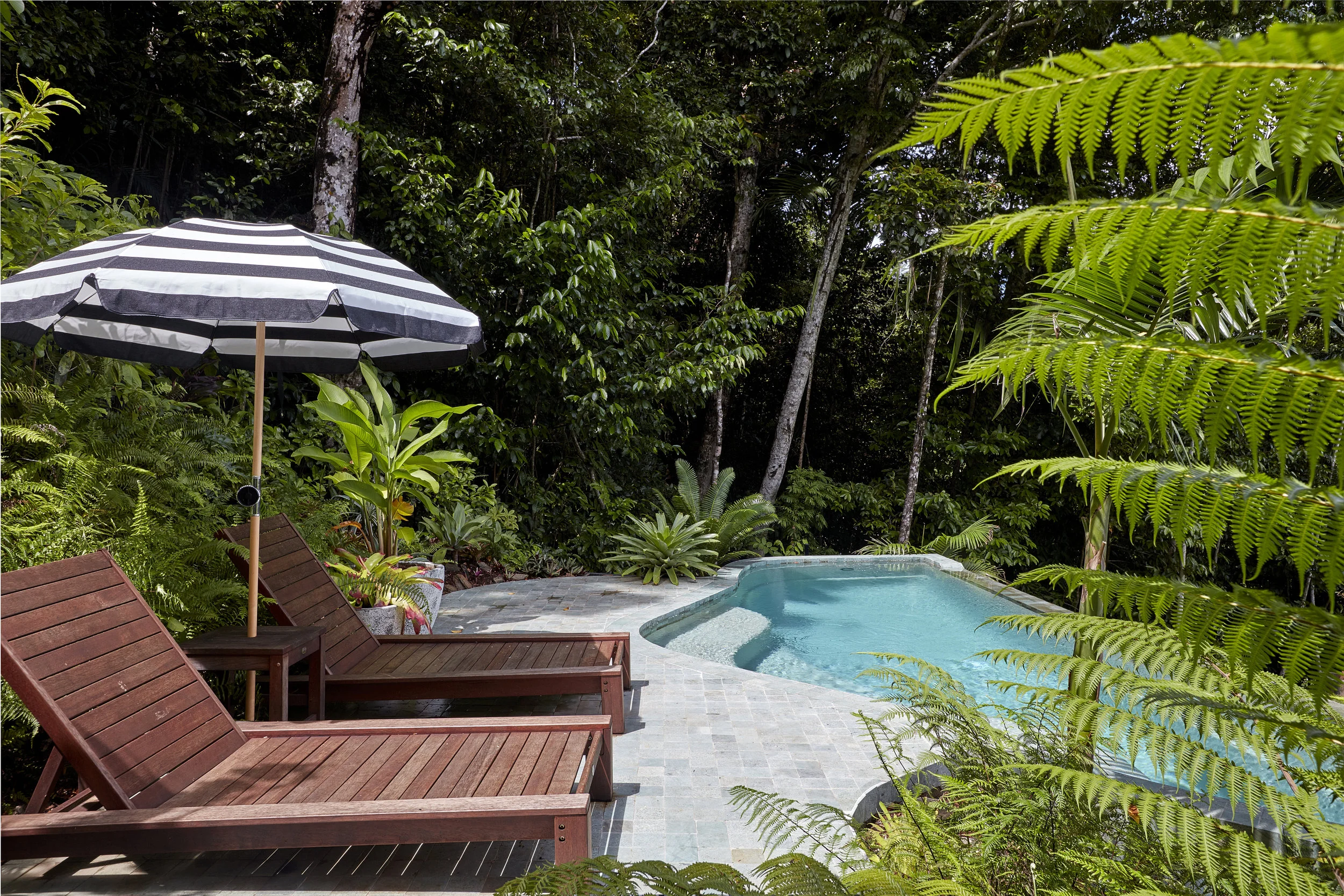Planchonella House