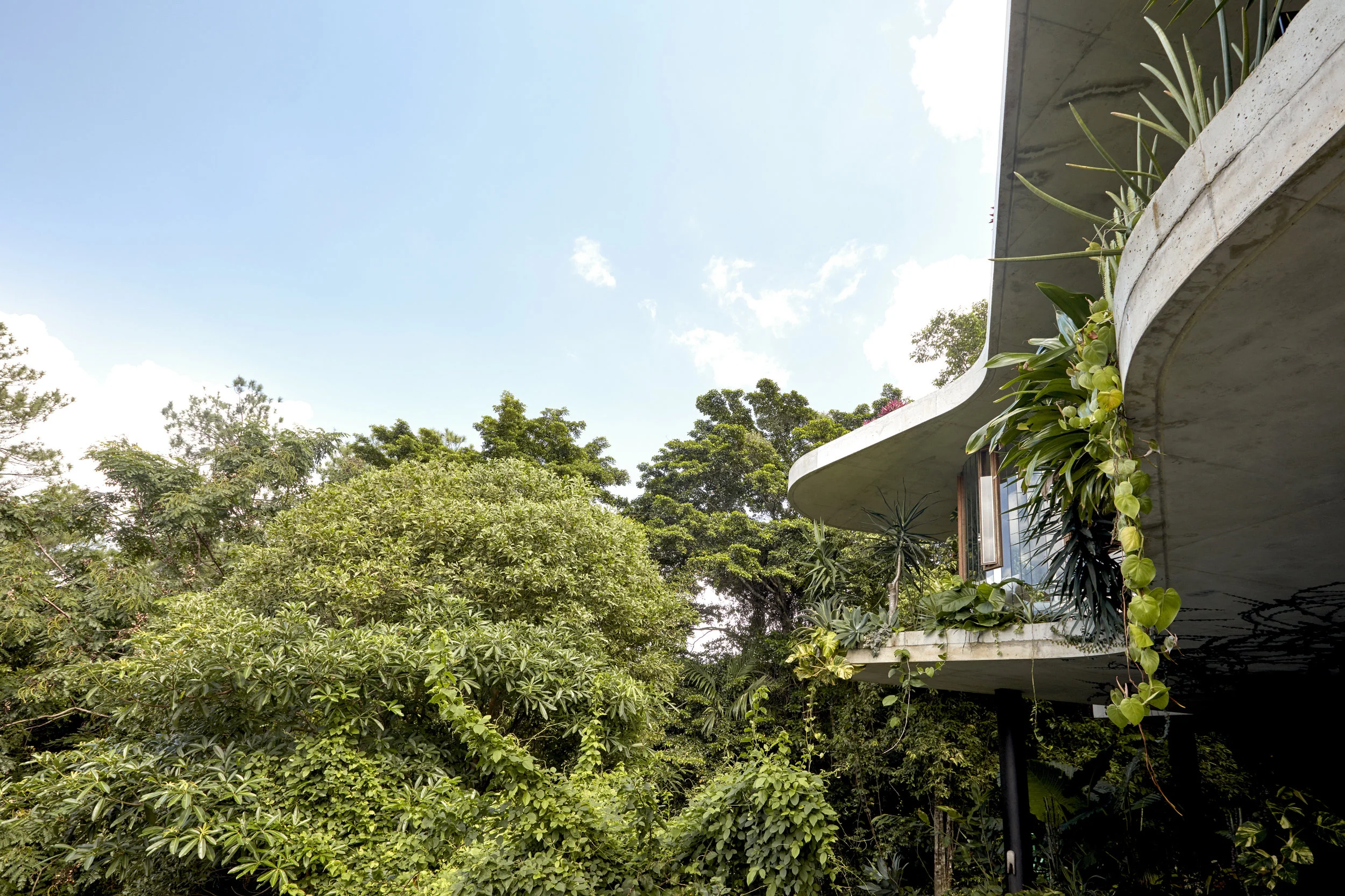 Planchonella House