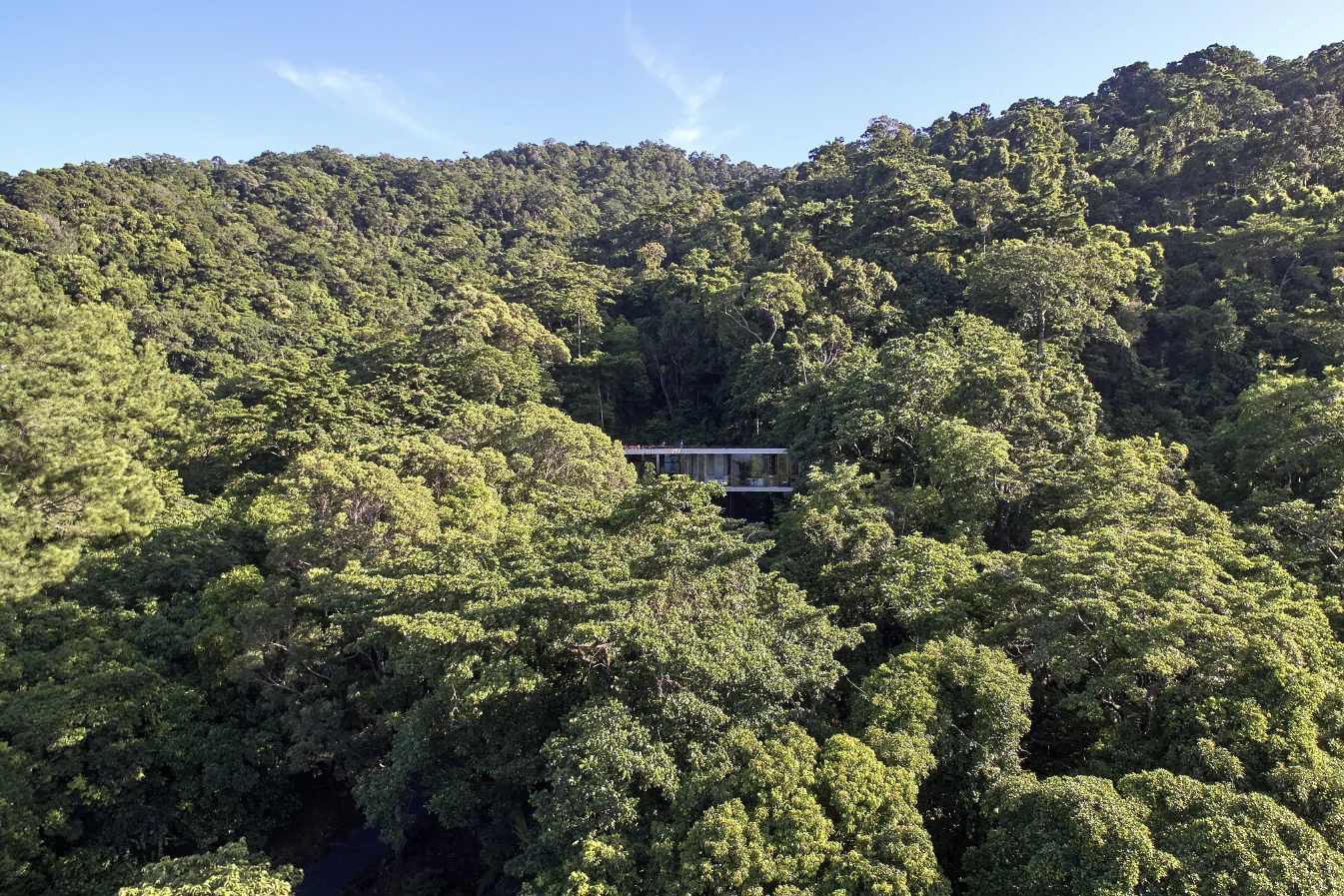 Planchonella House
