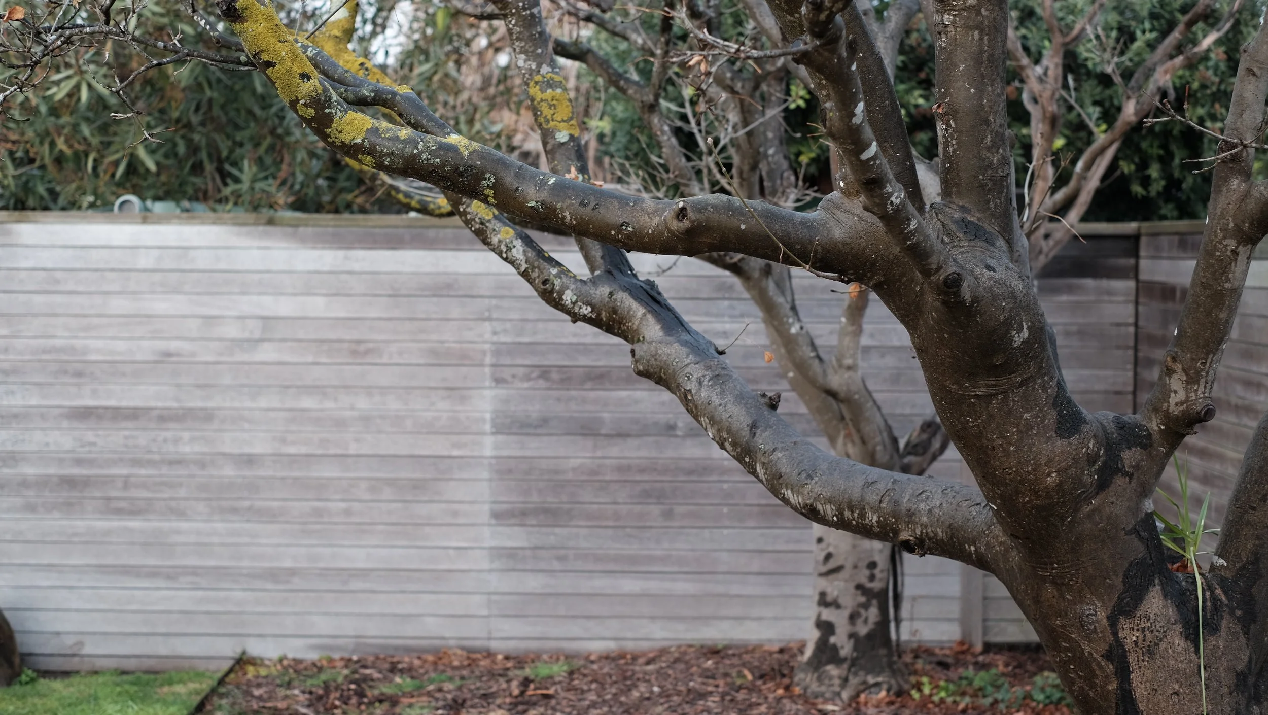 Barwon House