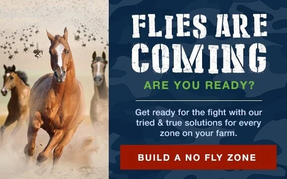 NFZ_Email 1.jpg