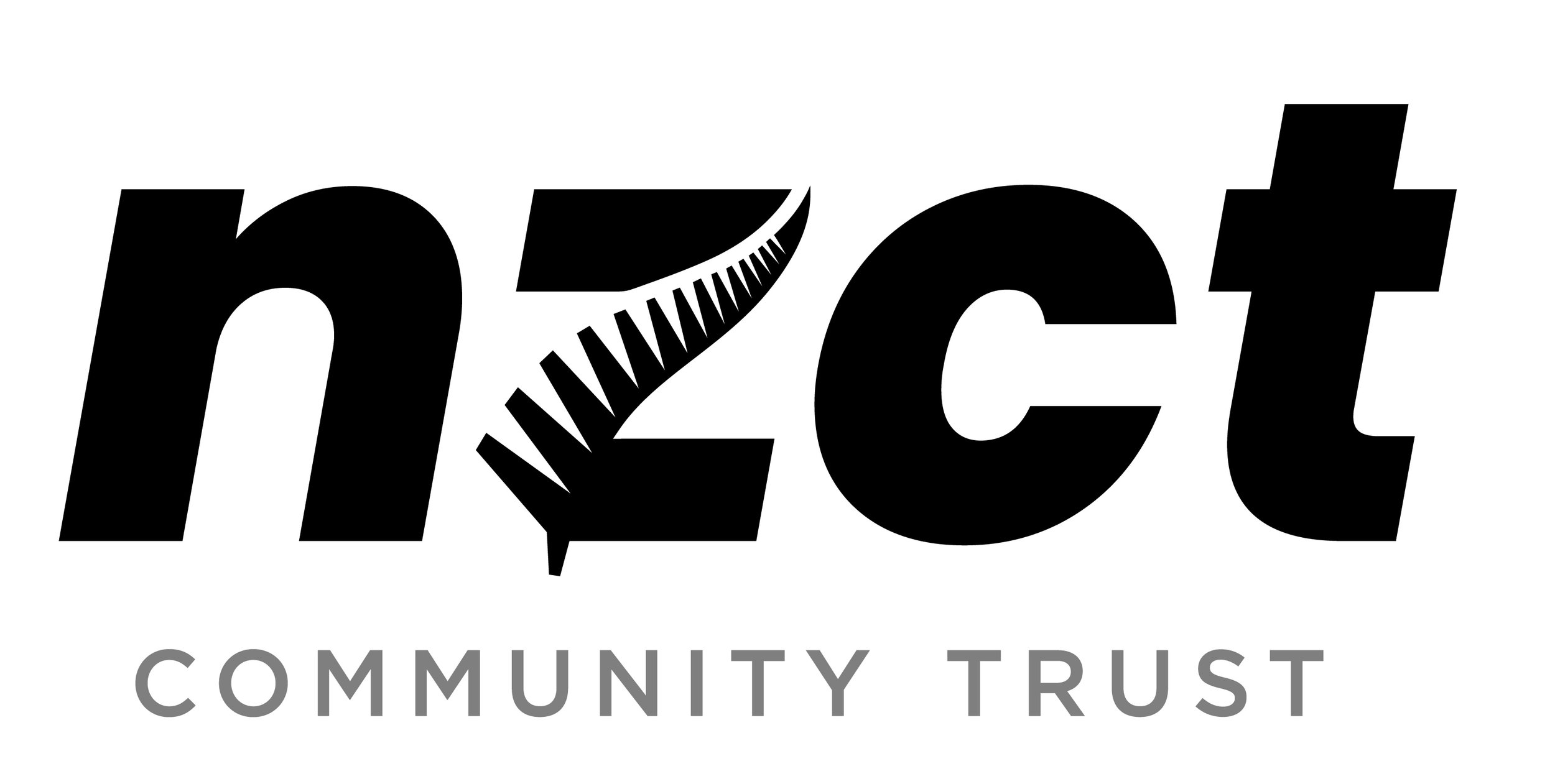 NZ Community Trust (Copy)