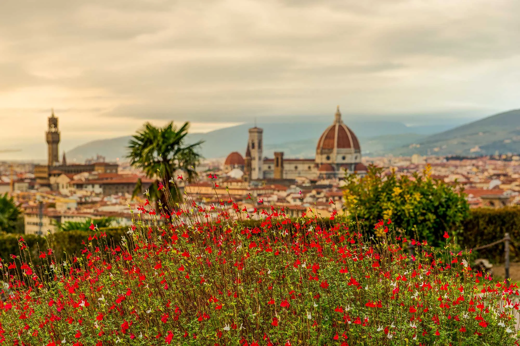 tuscany-travel-photos-1.jpg