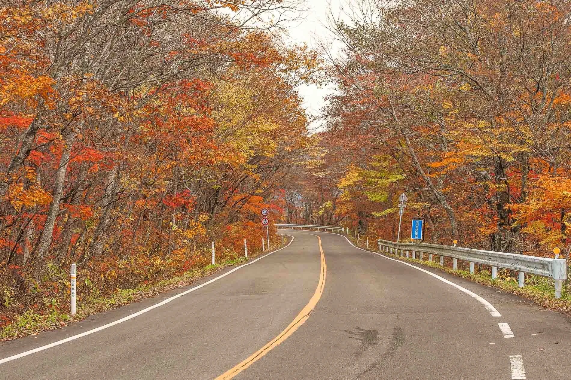 japan-landscape-travel-photos-2.jpg
