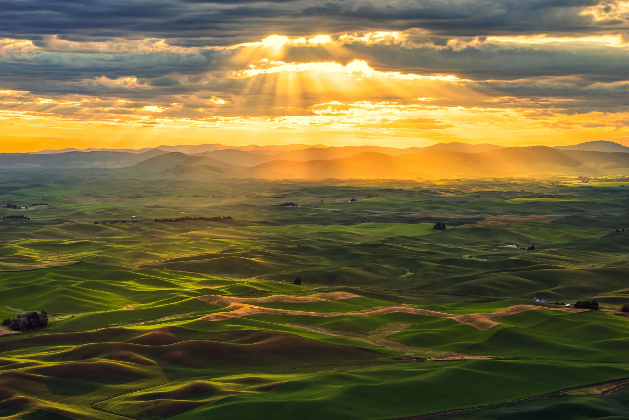 palouse-landscapes-washington-7.jpg