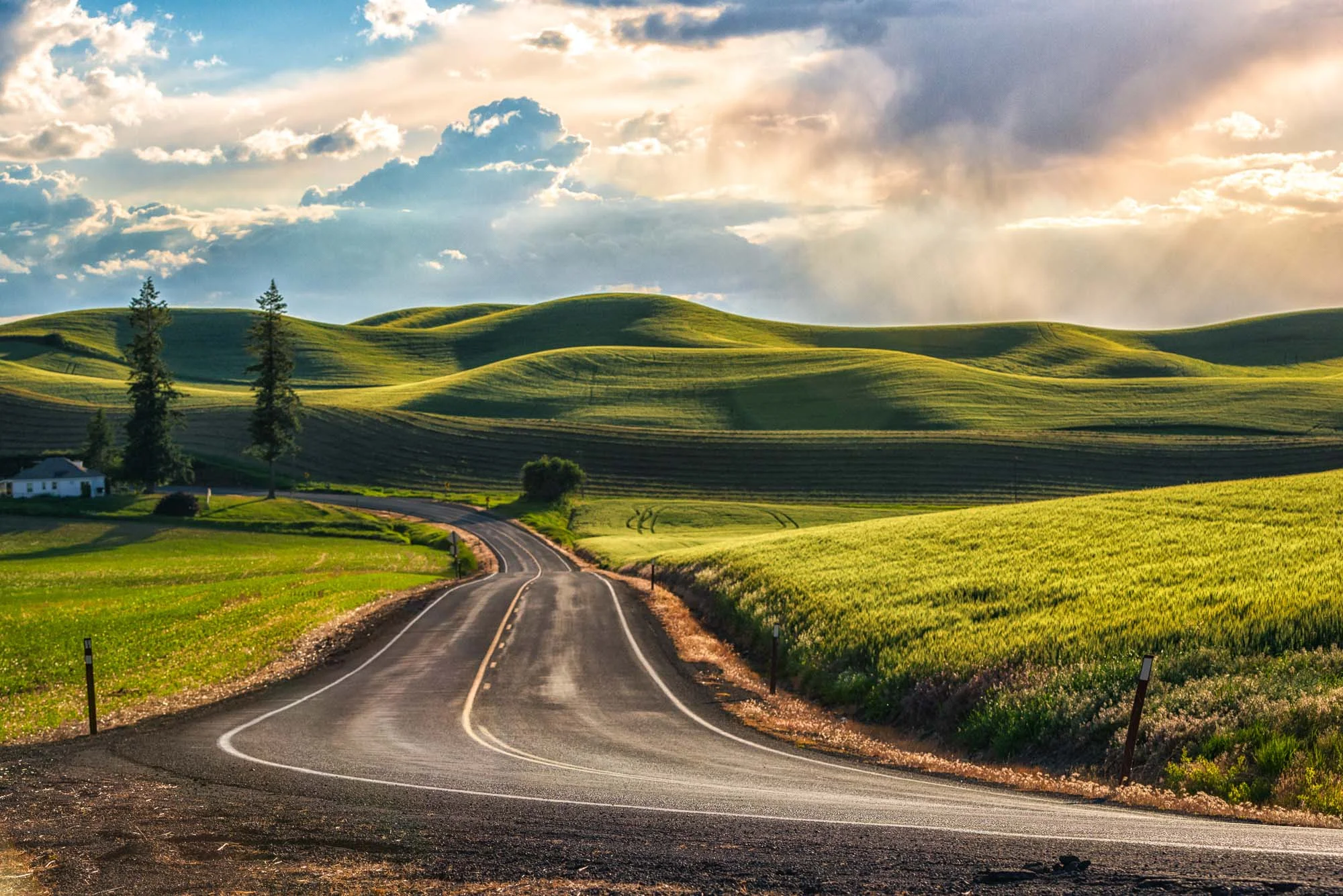 palouse-landscapes-washington-10.jpg