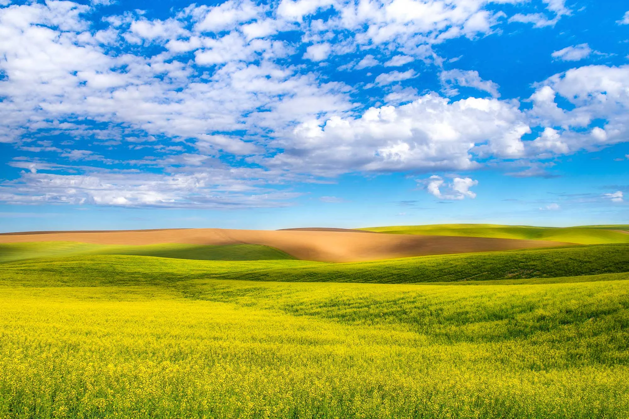 palouse-landscapes-washington-13.jpg