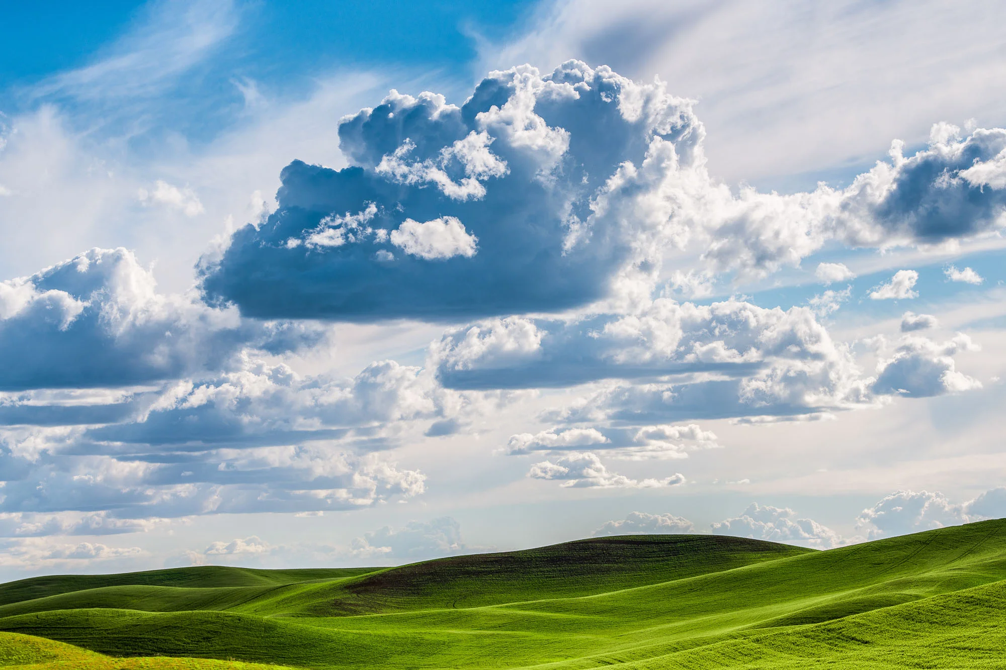 palouse-landscapes-washington-17.jpg