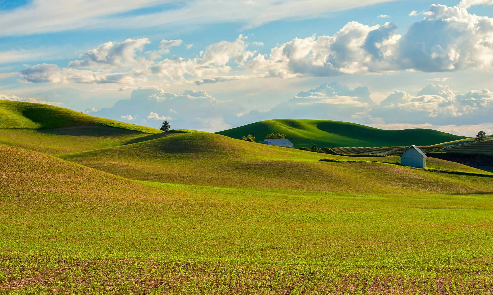 palouse-landscapes-washington-20.jpg