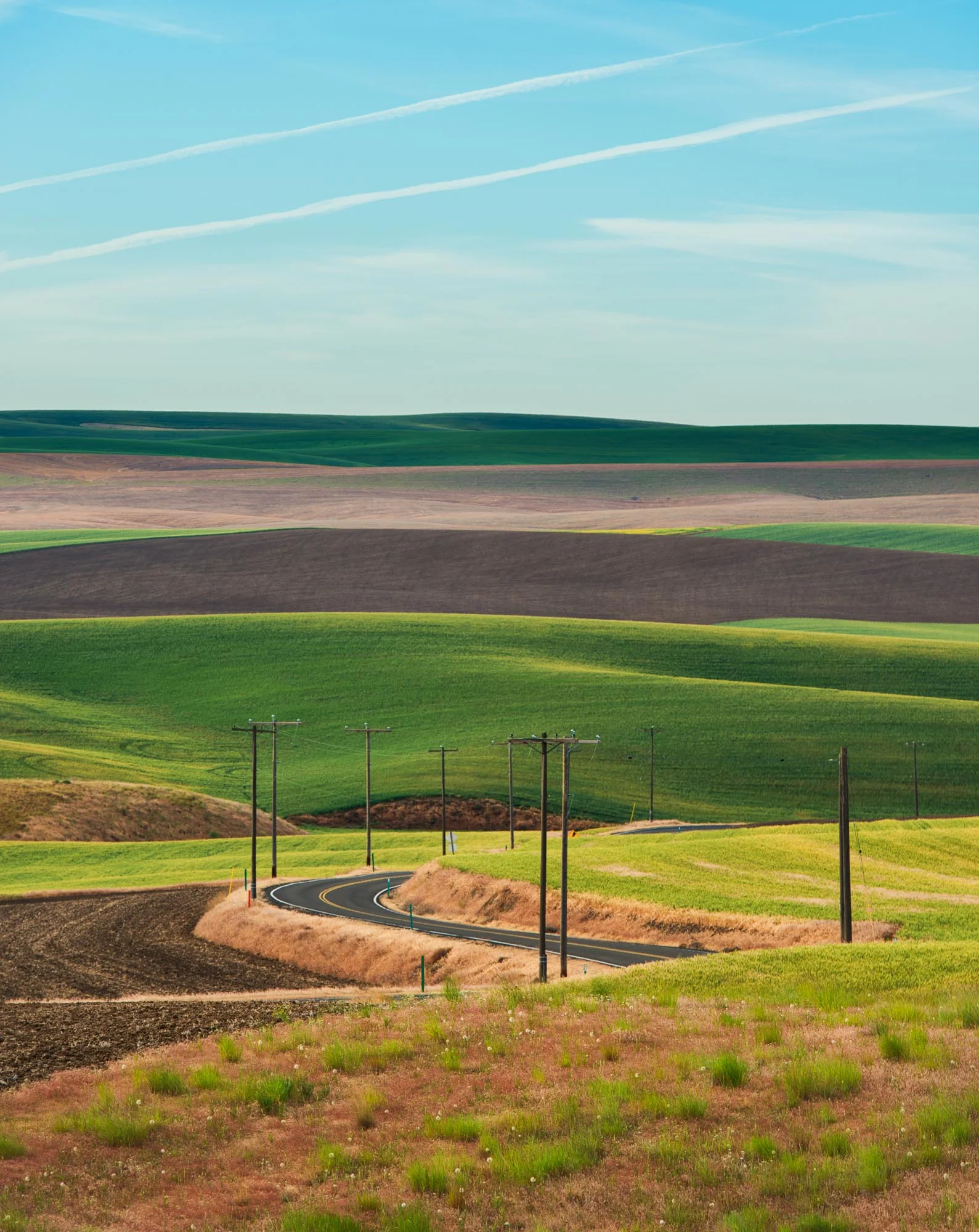 palouse-landscapes-washington-37.jpg