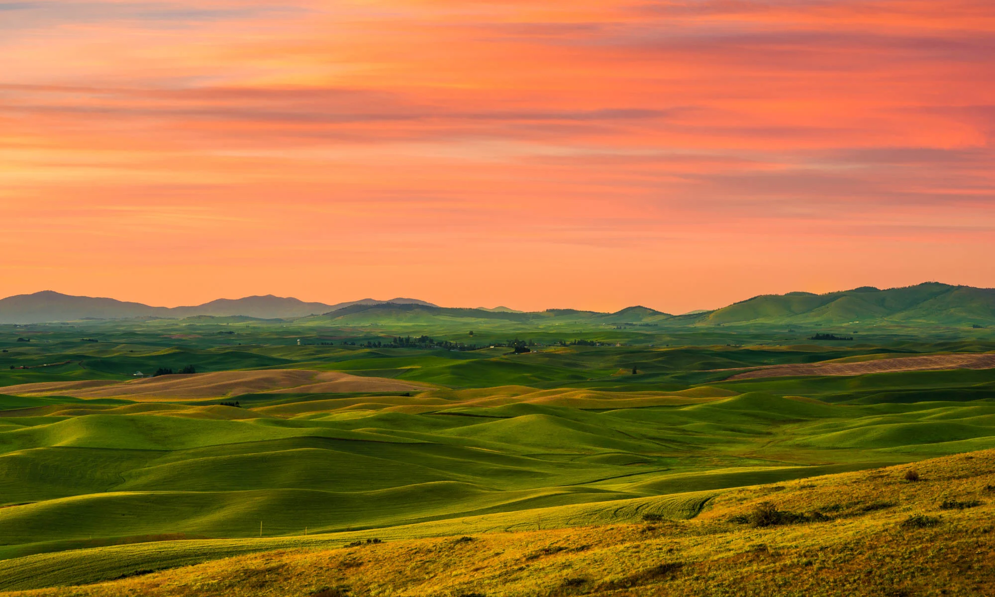 palouse-landscapes-washington-43.jpg