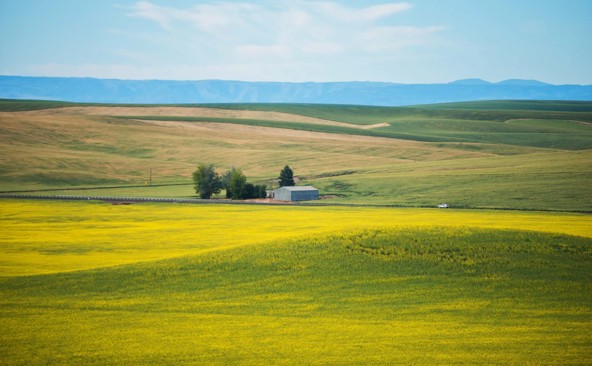 palouse-landscapes-washington-57.jpg
