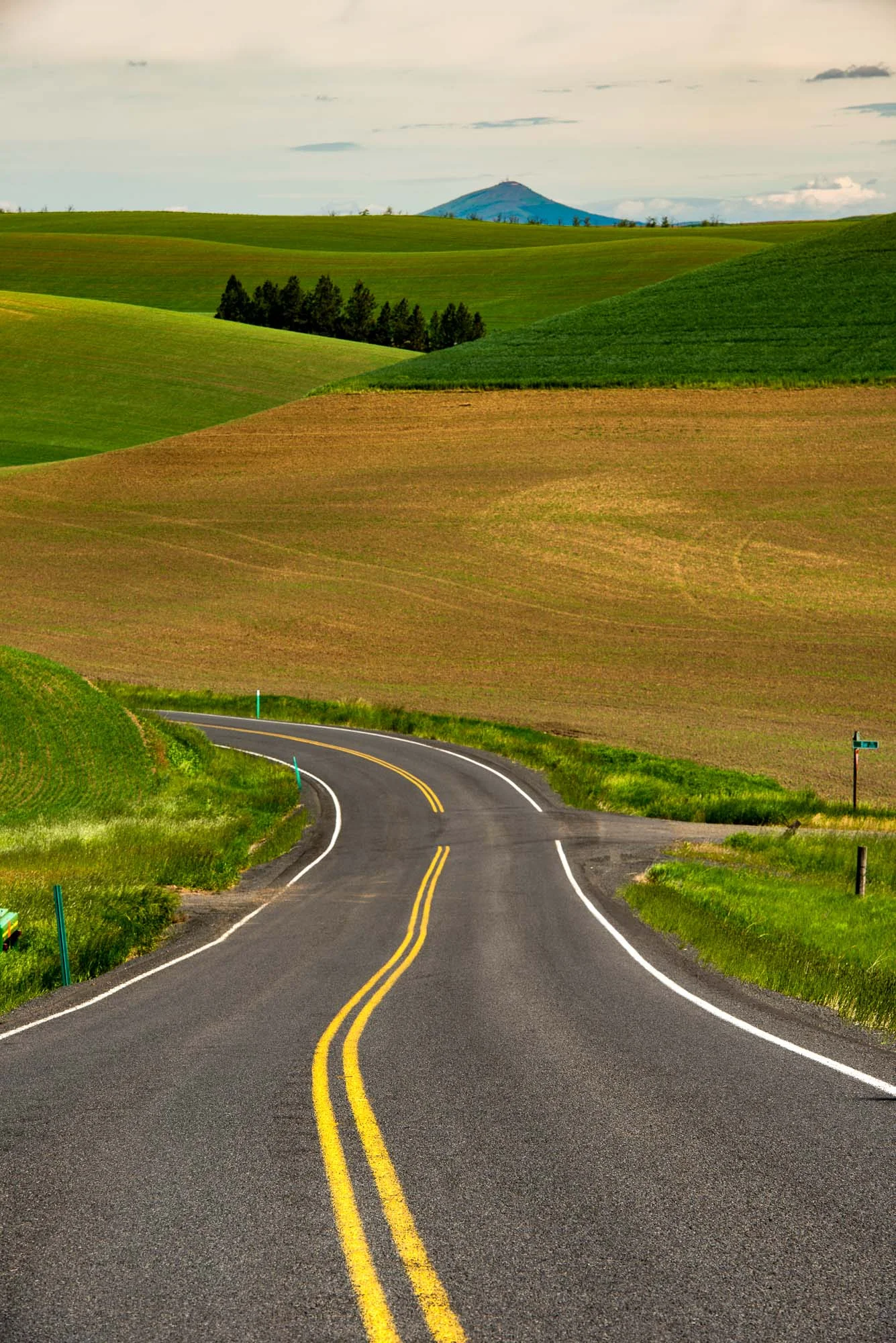 palouse-landscapes-washington-61.jpg