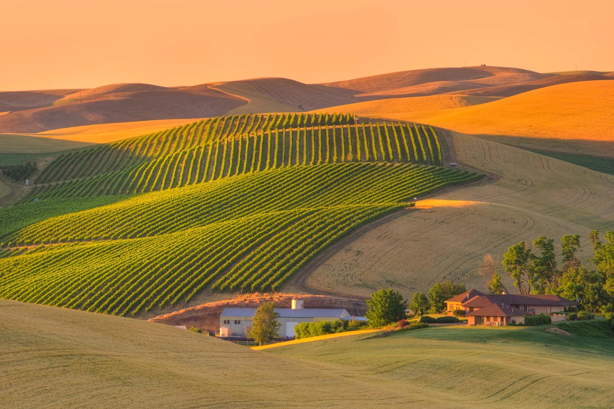 palouse-landscapes-washington-67.jpg