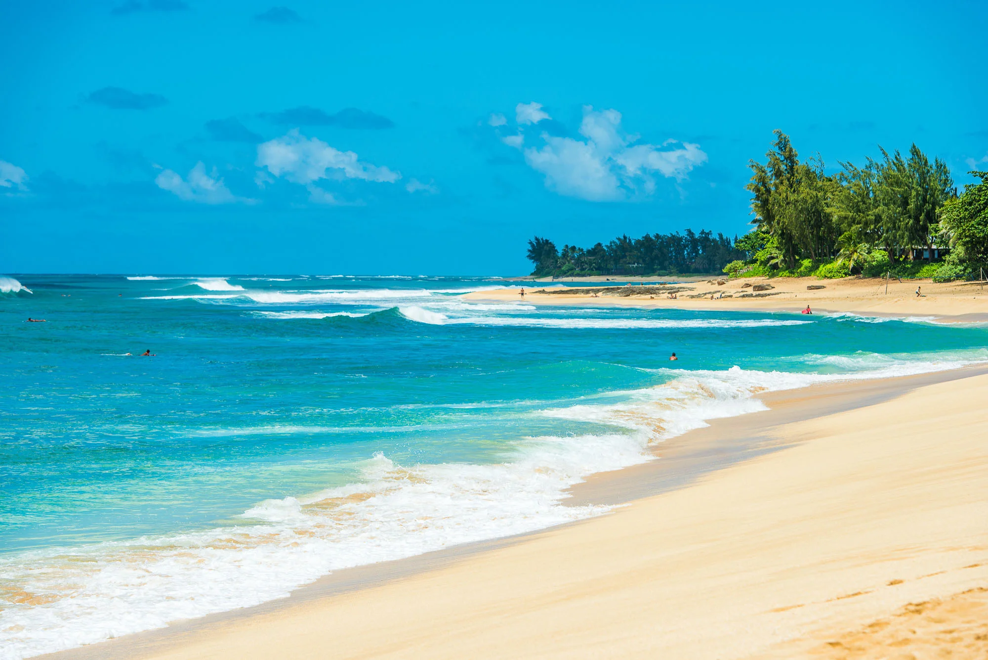 hawaii-beach-photos-8.jpg