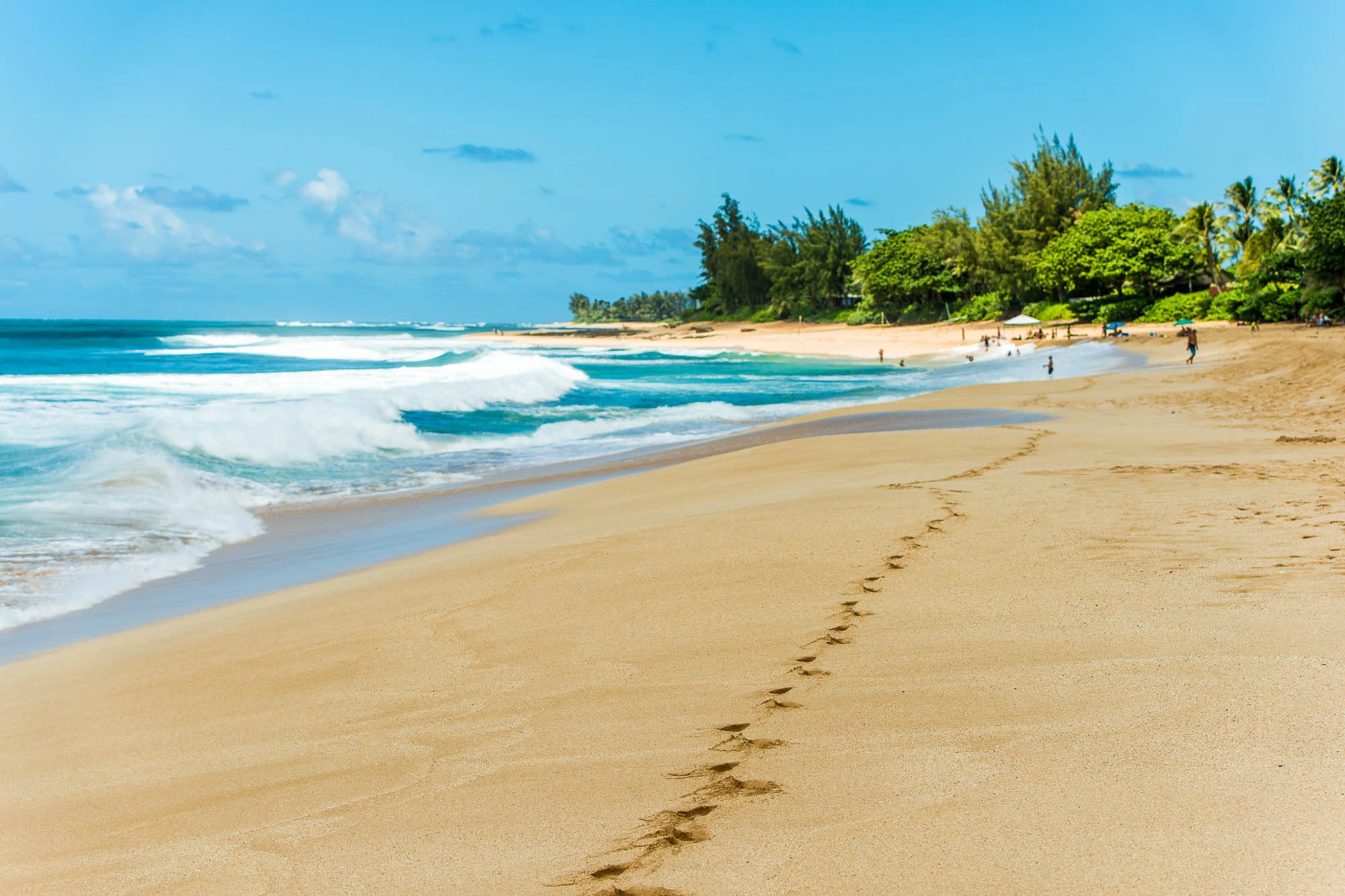 hawaii-beach-photos-10.jpg