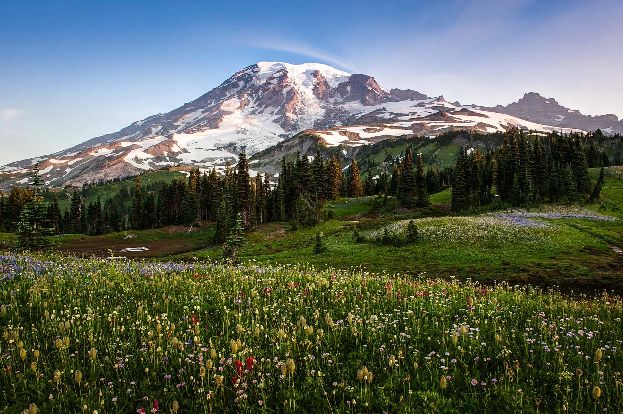 mountain-landscapes-rainier-6.jpg