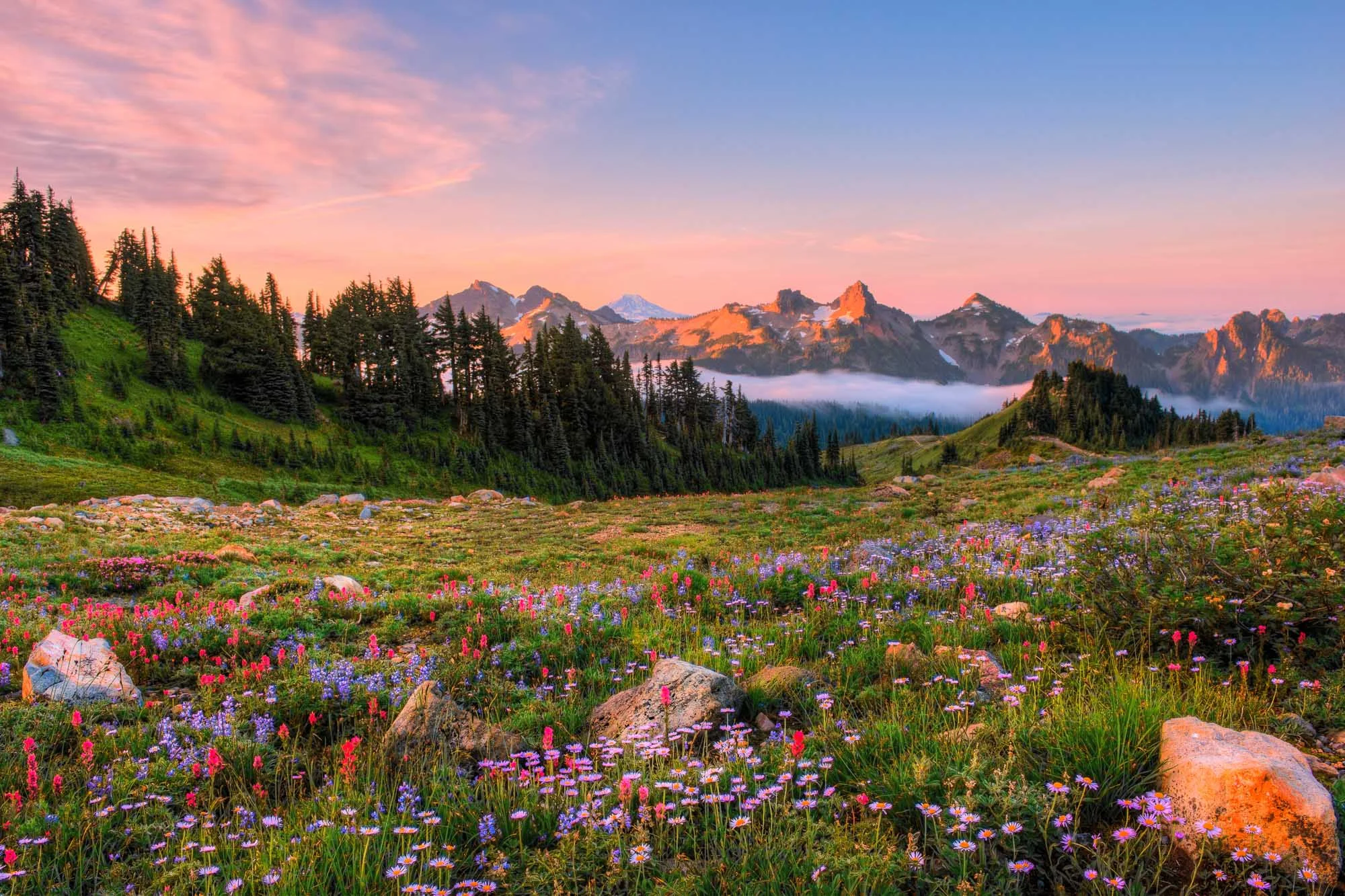 mountain-landscapes-rainier-10.jpg