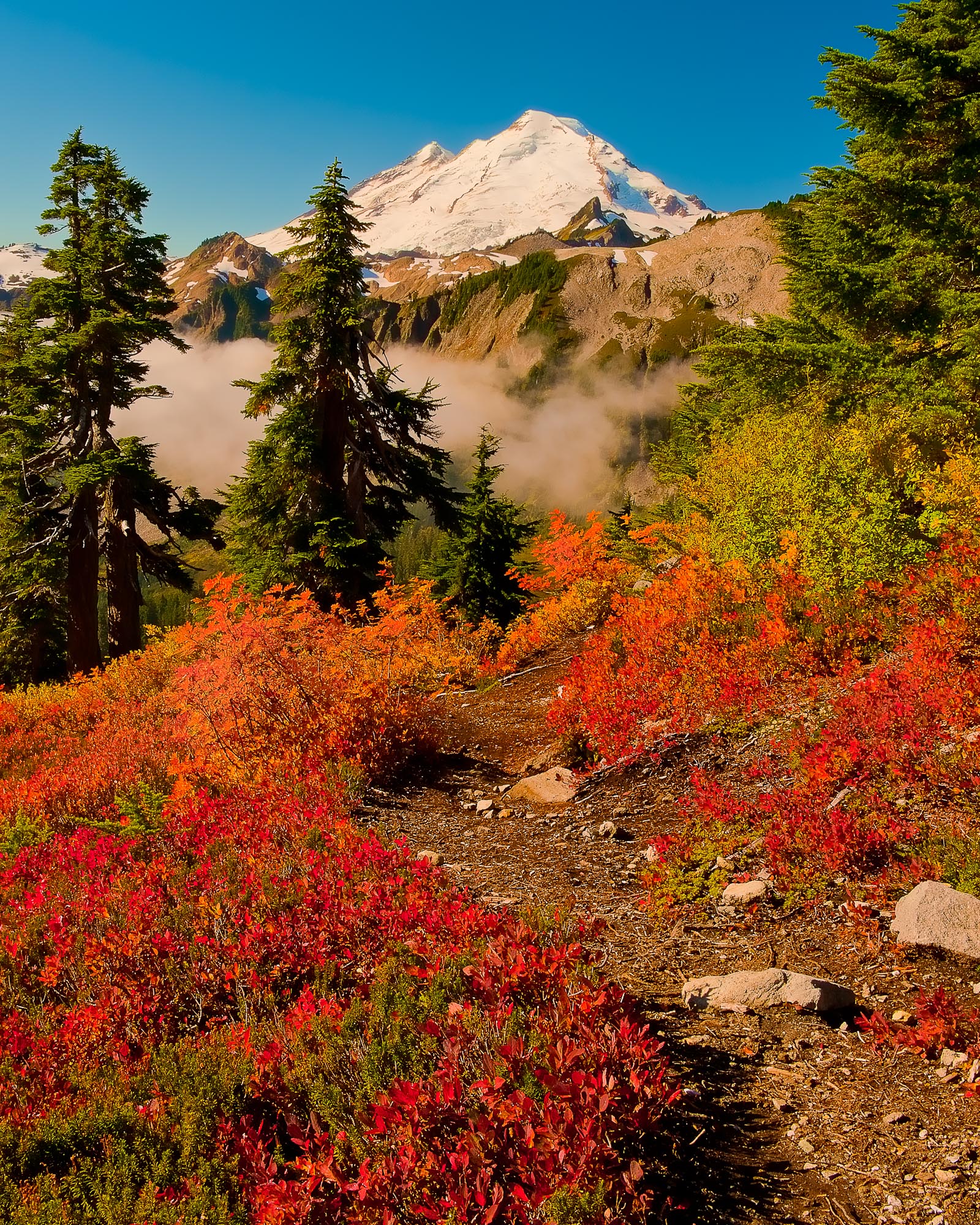 mountains-northwest-16.jpg