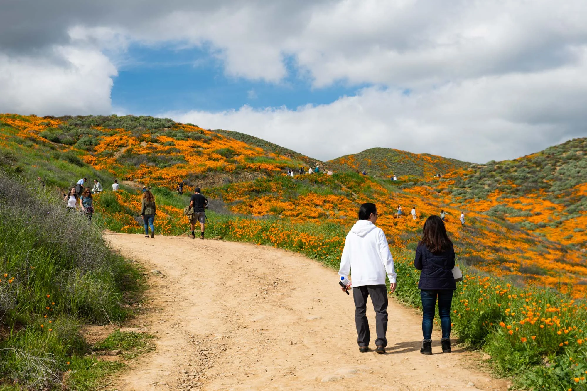 This section of trail is about 200 feet up the hill from where everyone parks. It’s not that steep of a trail to enjoy the beautiful view of poppies everywhere!