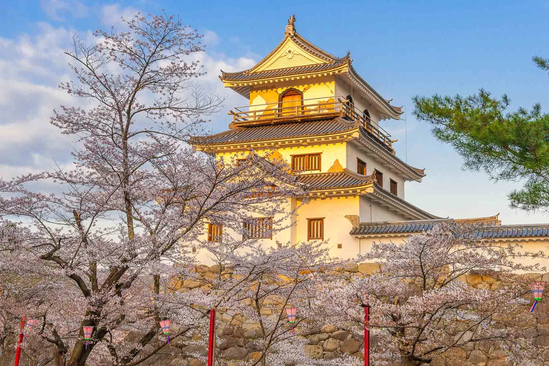 japan-sakura-castle.jpg