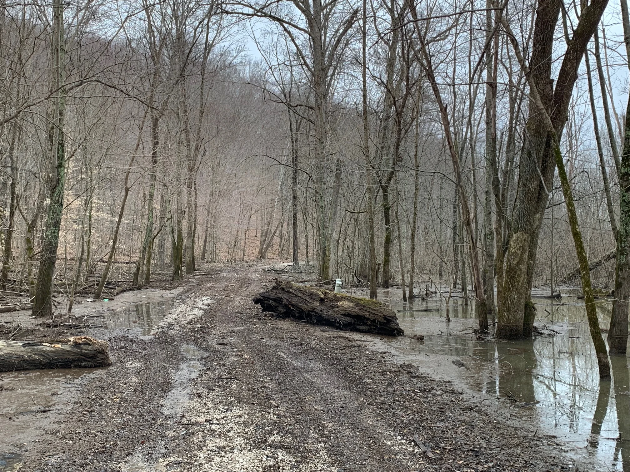 Canceled-- 12th Ducks & Donuts