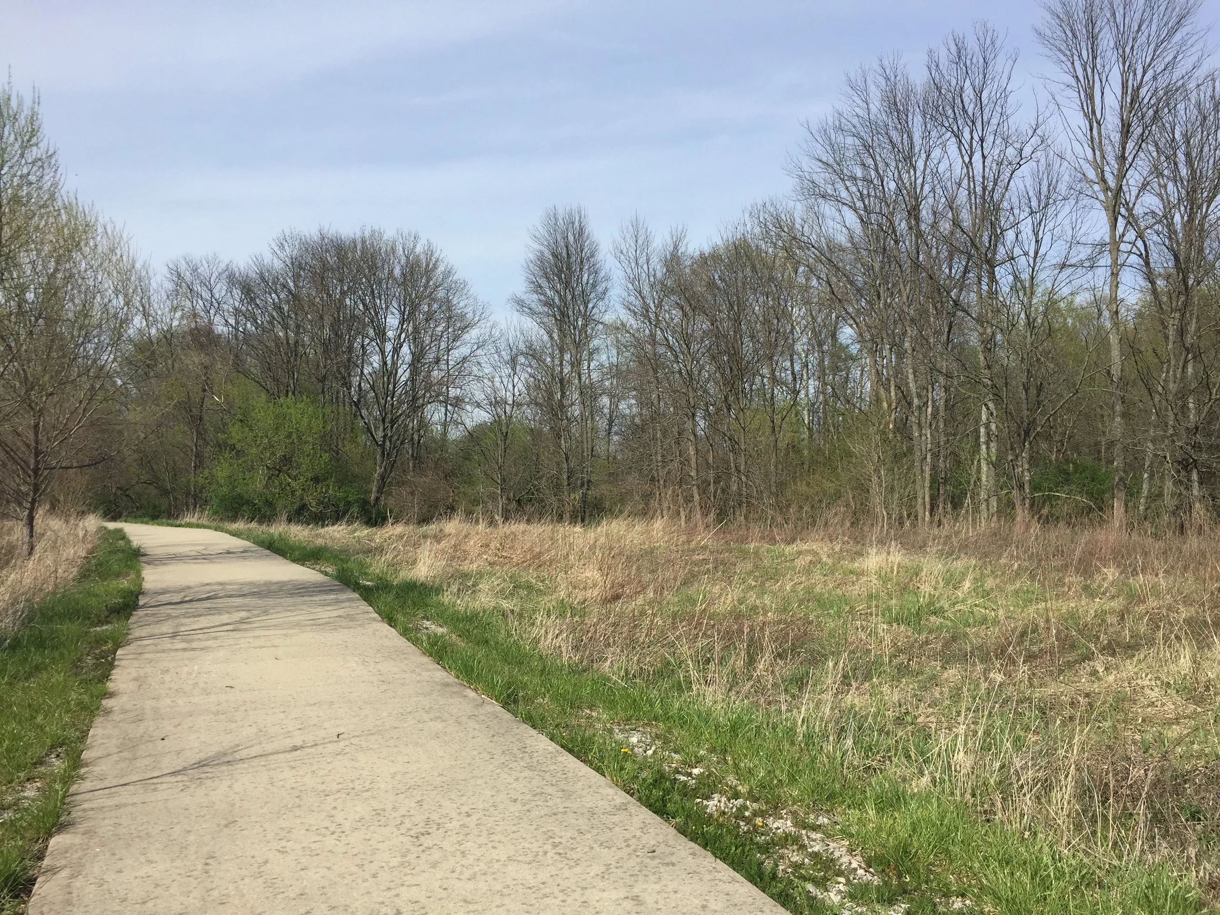 October Bird Walk with David Rupp